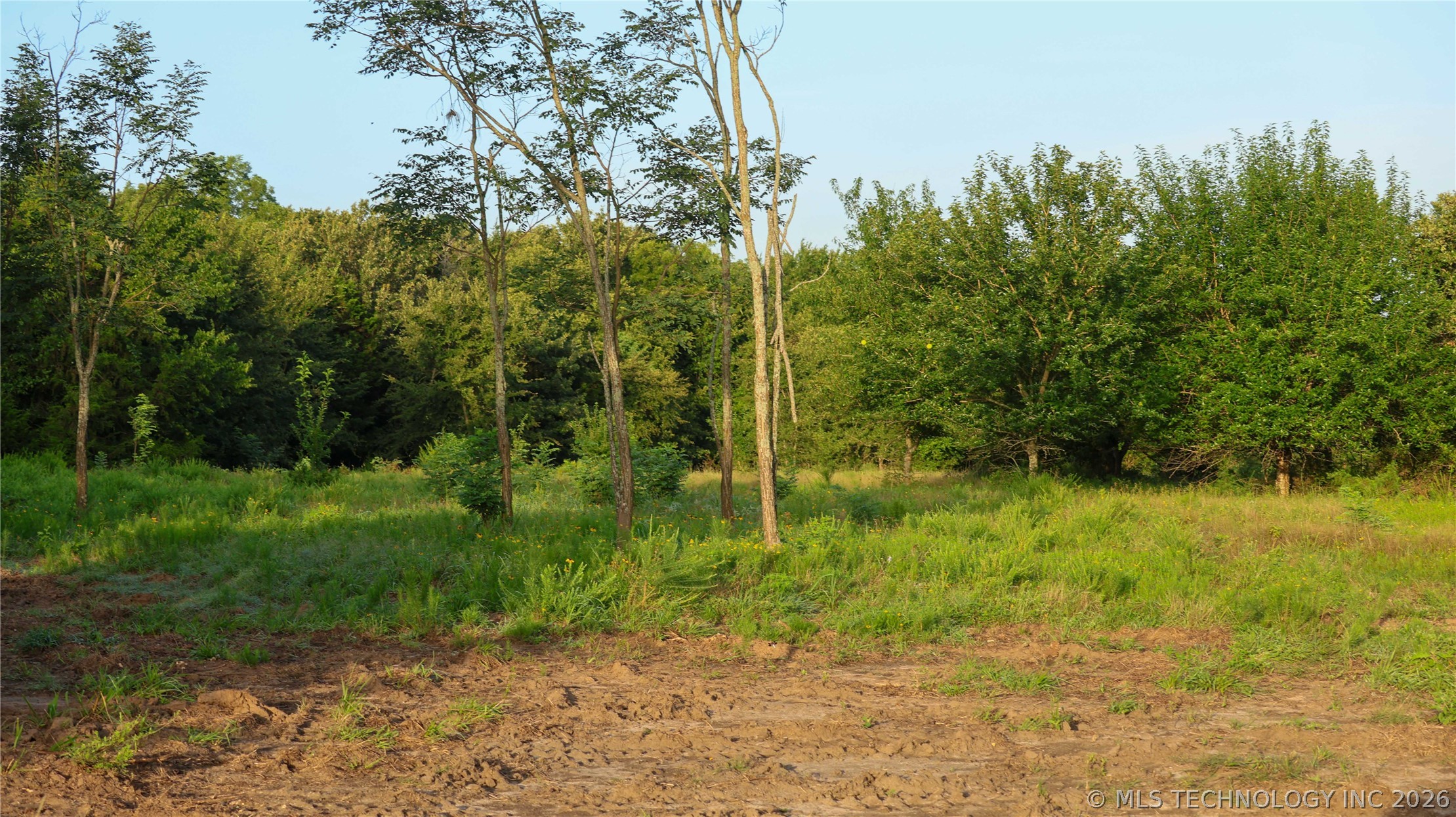 001 E County Road 1650 Property Photo 45