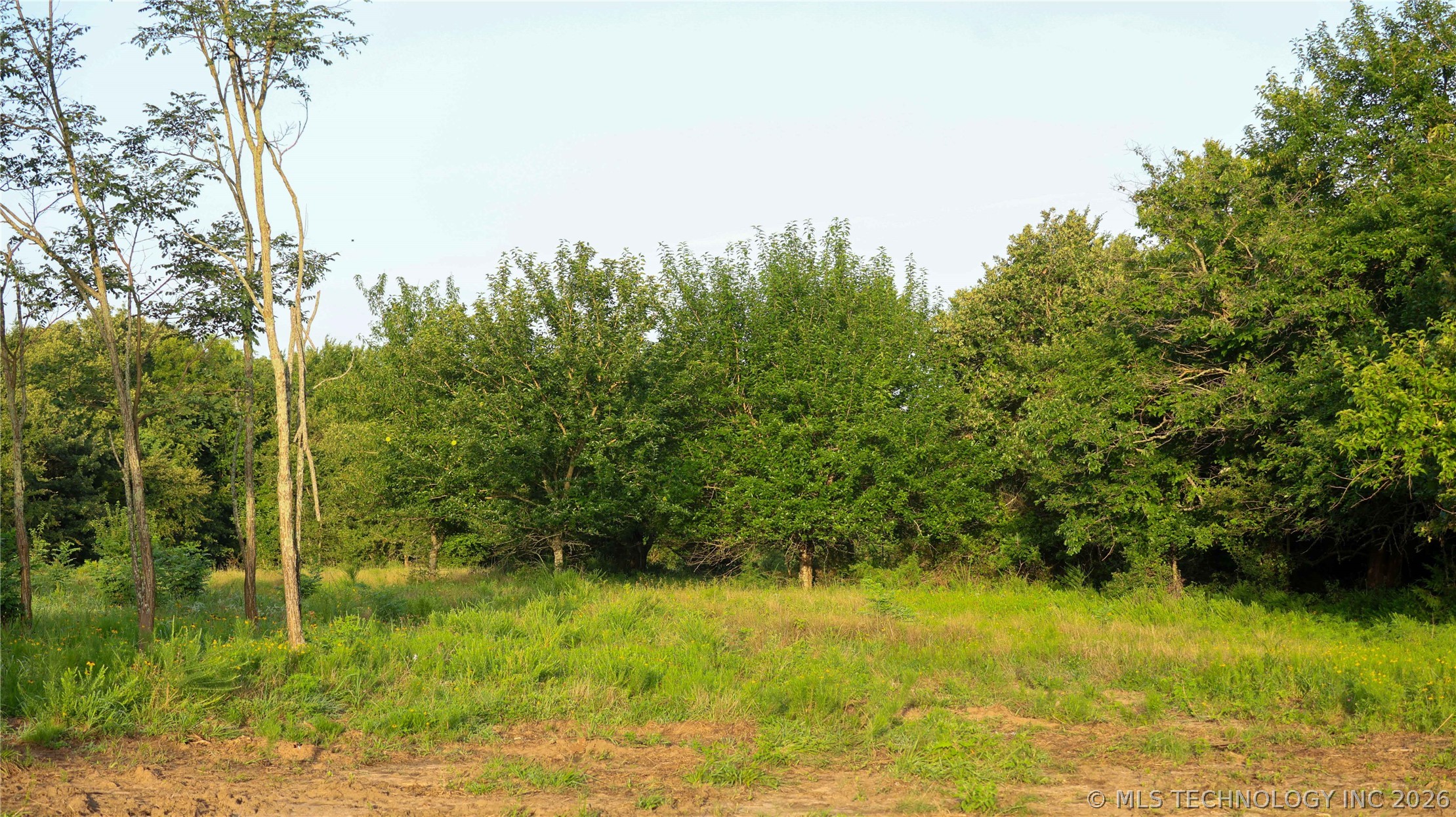 001 E County Road 1650 Property Photo 46
