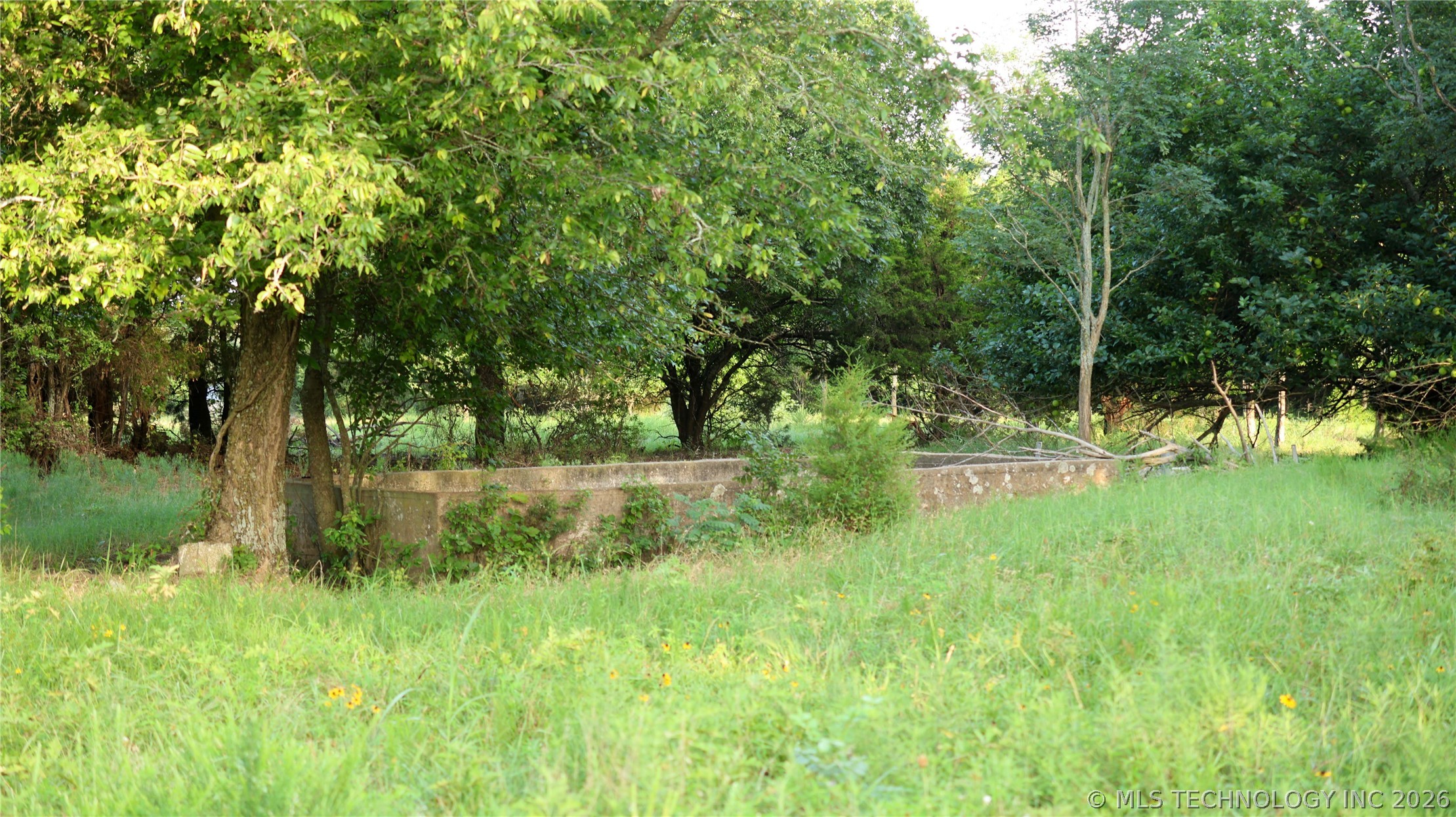 001 E County Road 1650 Property Photo 47