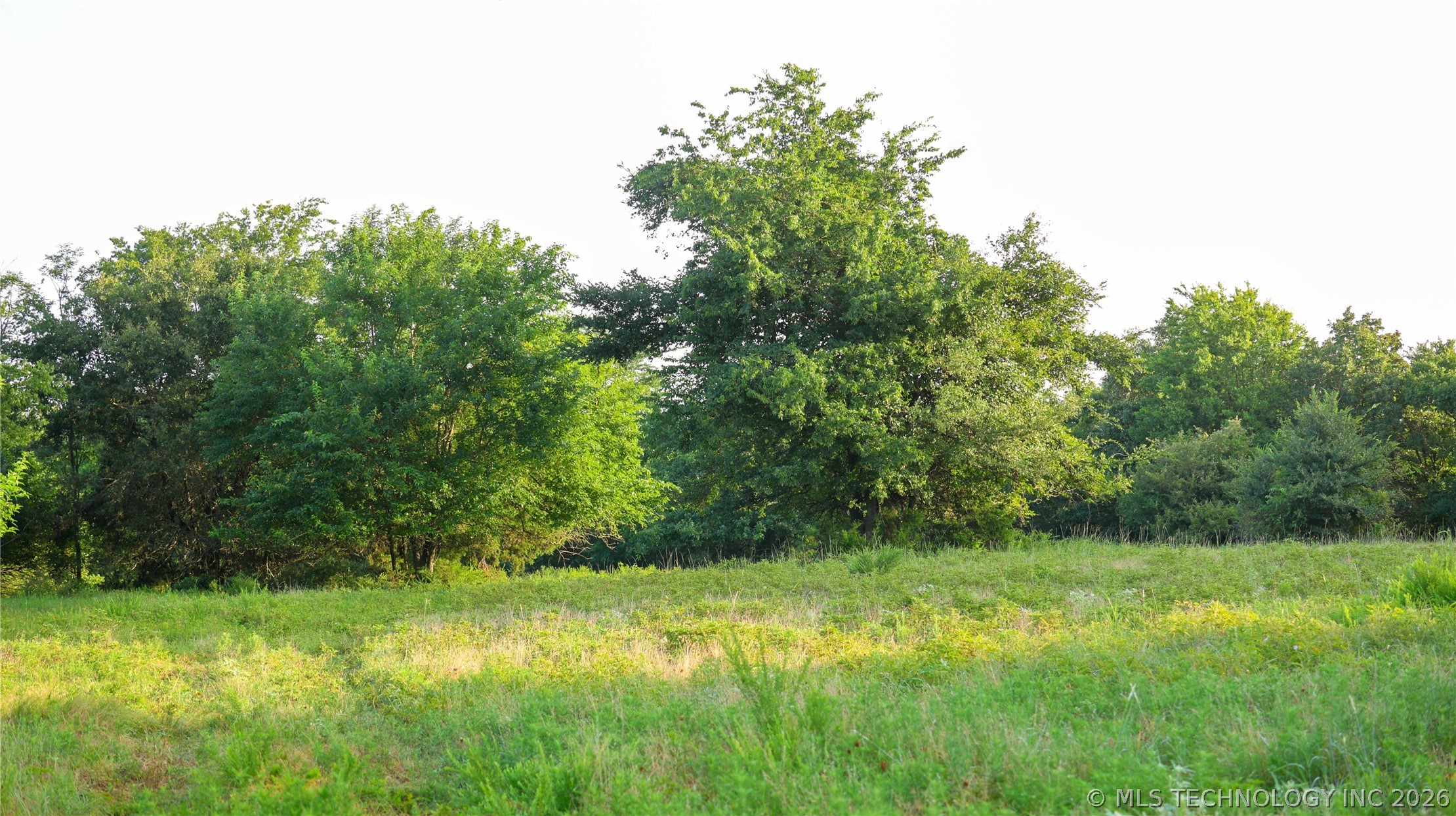 001 E County Road 1650 Property Photo 48