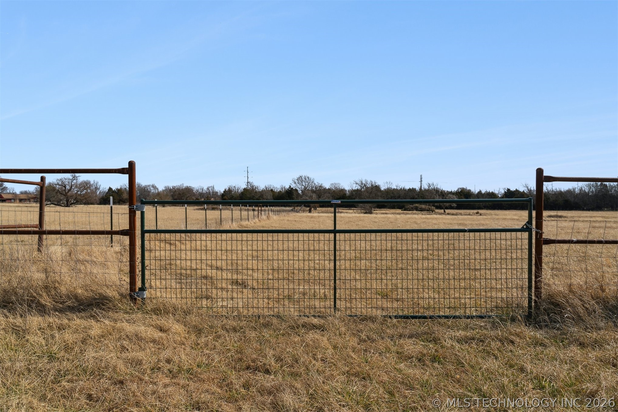 1327 W Davis Property Photo 7