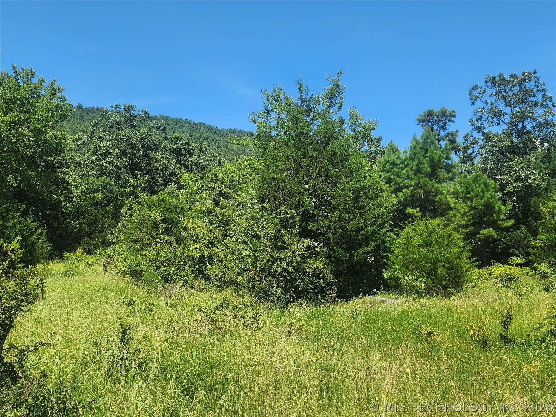 Se State Highway 63 Property Photo 3