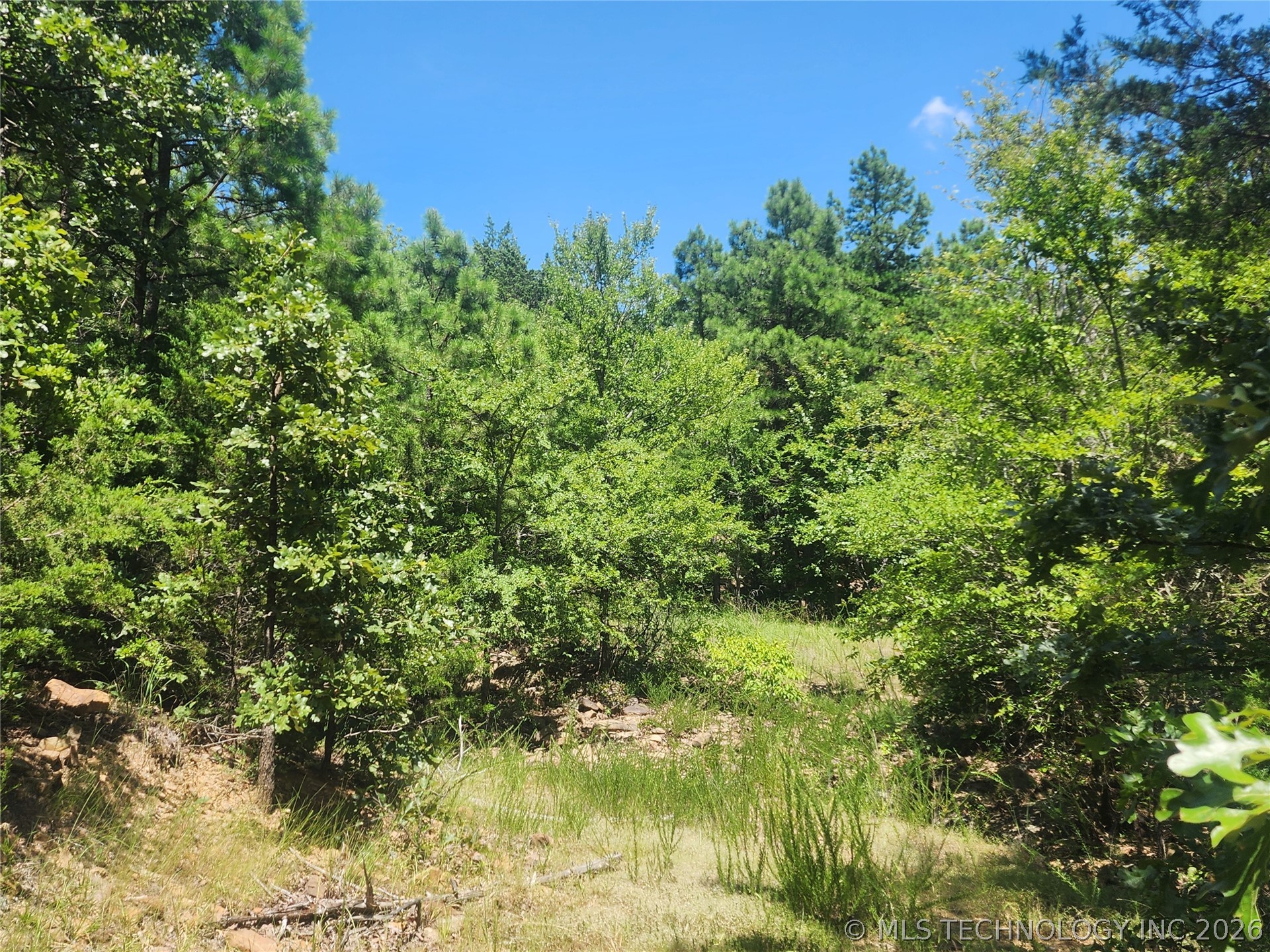 Se State Highway 63 Property Photo 4
