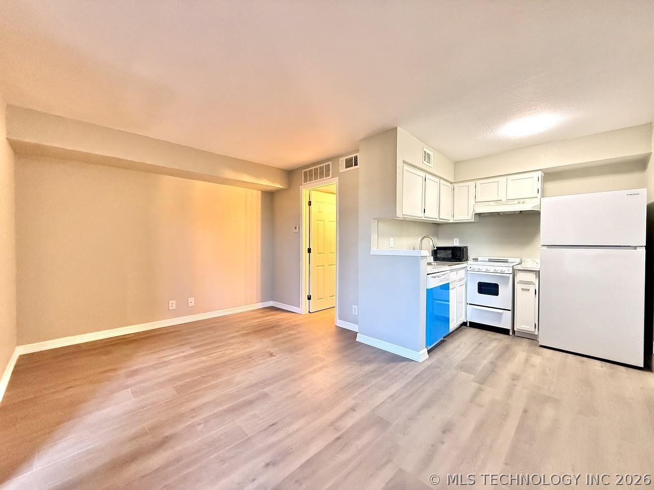 1730 E 67th Street K301 Property Photo 6
