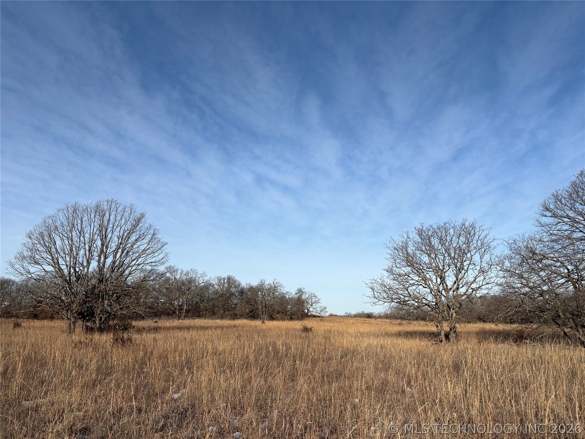 0 County Road 4151 Property Photo 8
