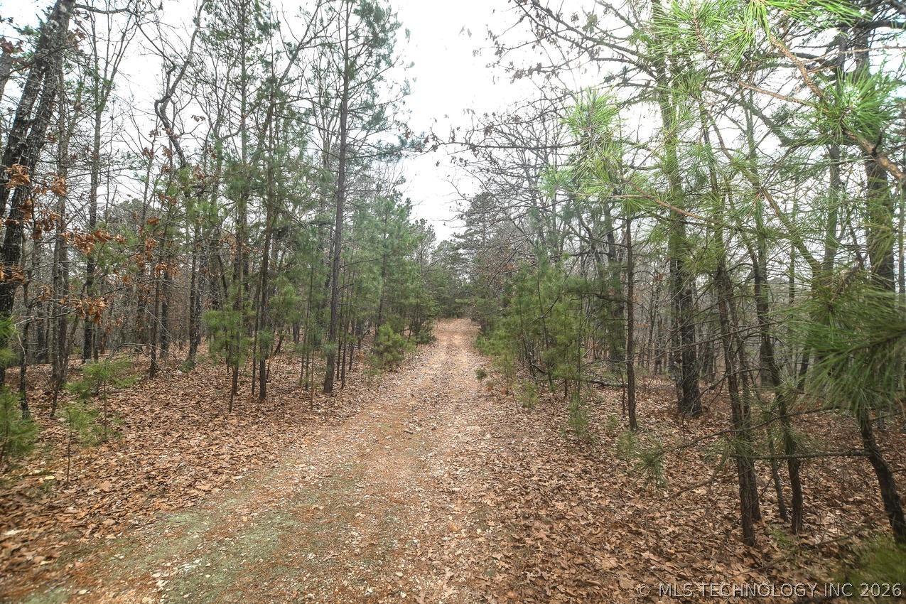1117 Fox Point Road Property Photo 47