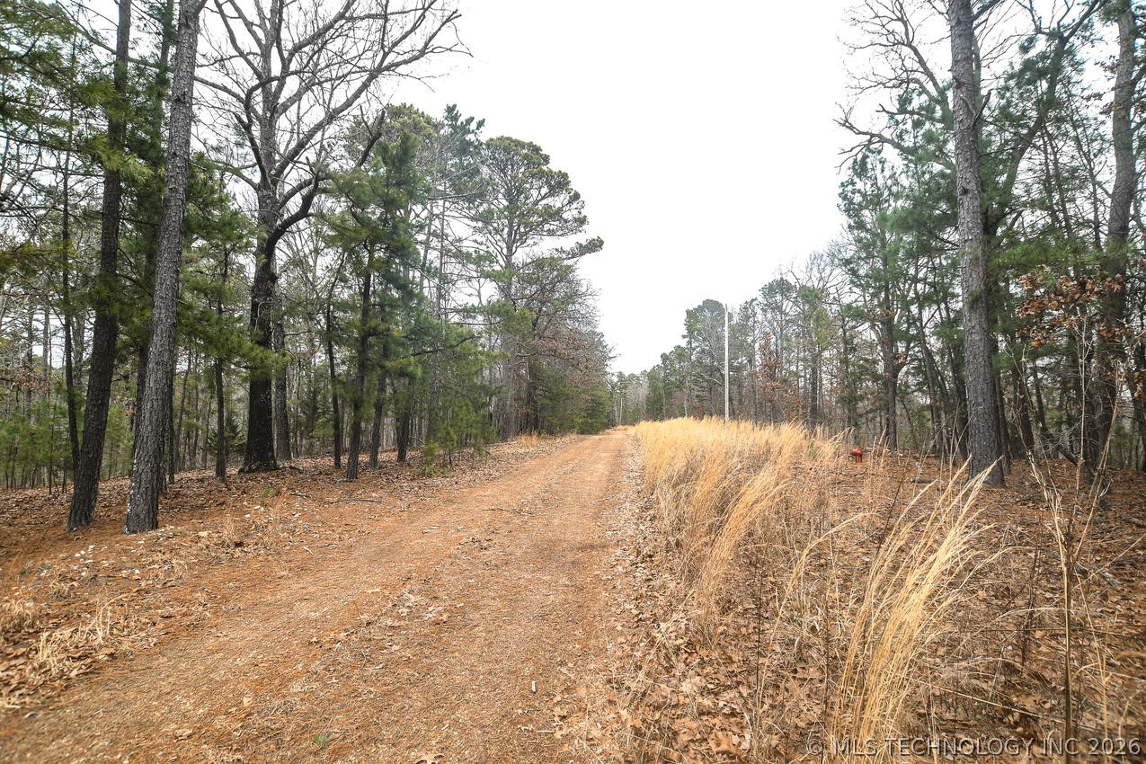 1117 Fox Point Road Property Photo 48