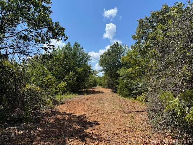 14690 Hwy 62 Property Photo 4
