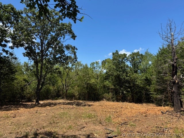 14690 Hwy 62 Property Photo 18