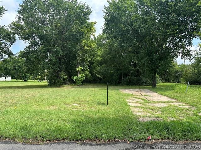 917 Martin Luther King Drive Property Photo 4