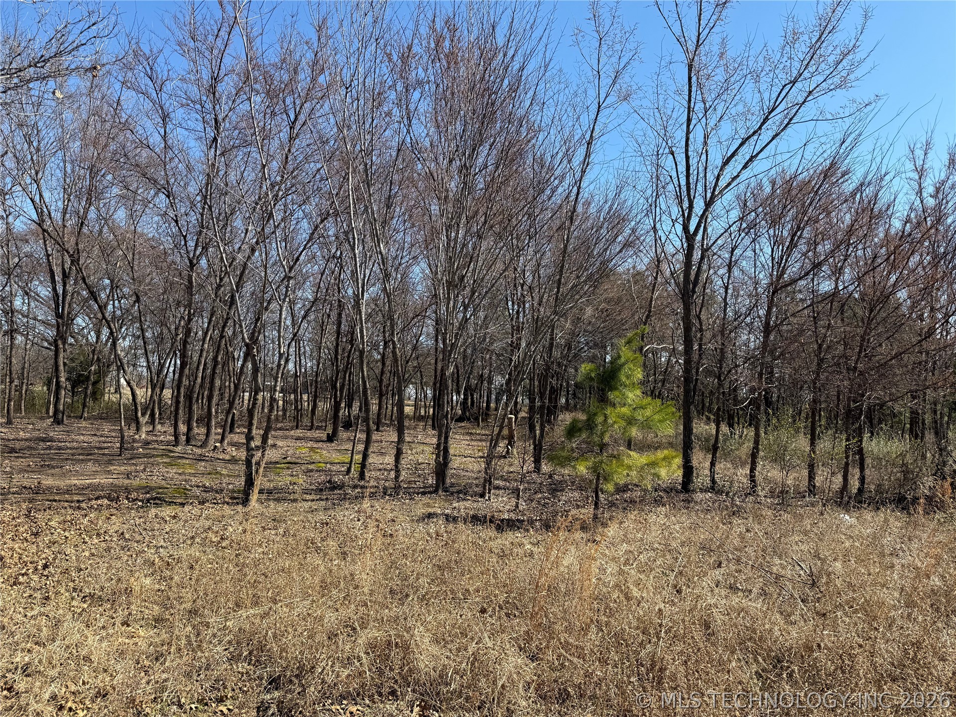 20172 Us Highway 64 Highway Property Photo 14