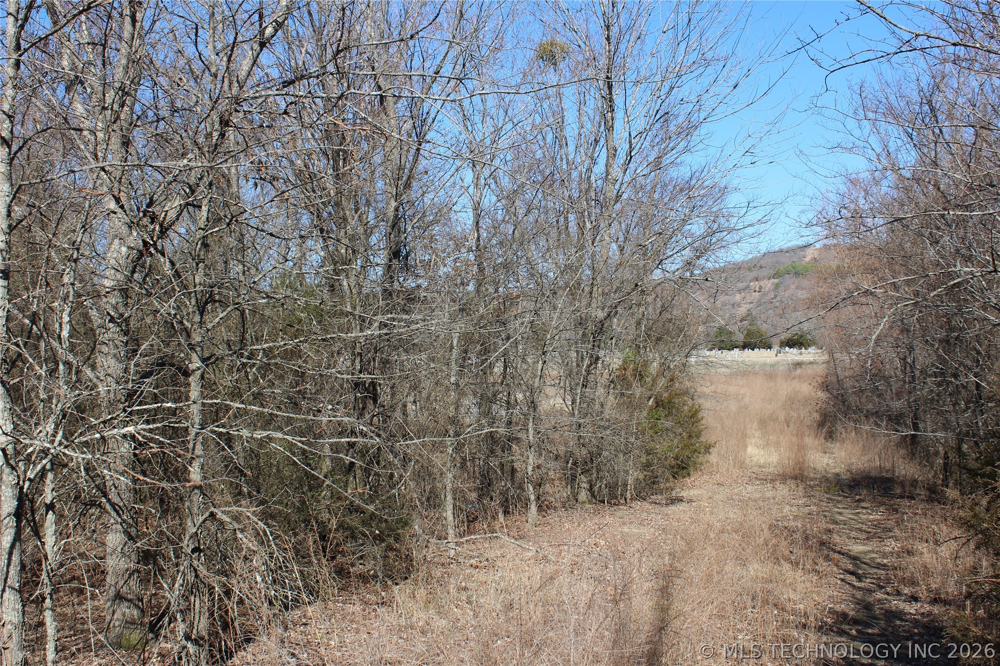 000 Hwy 31 Property Photo 9