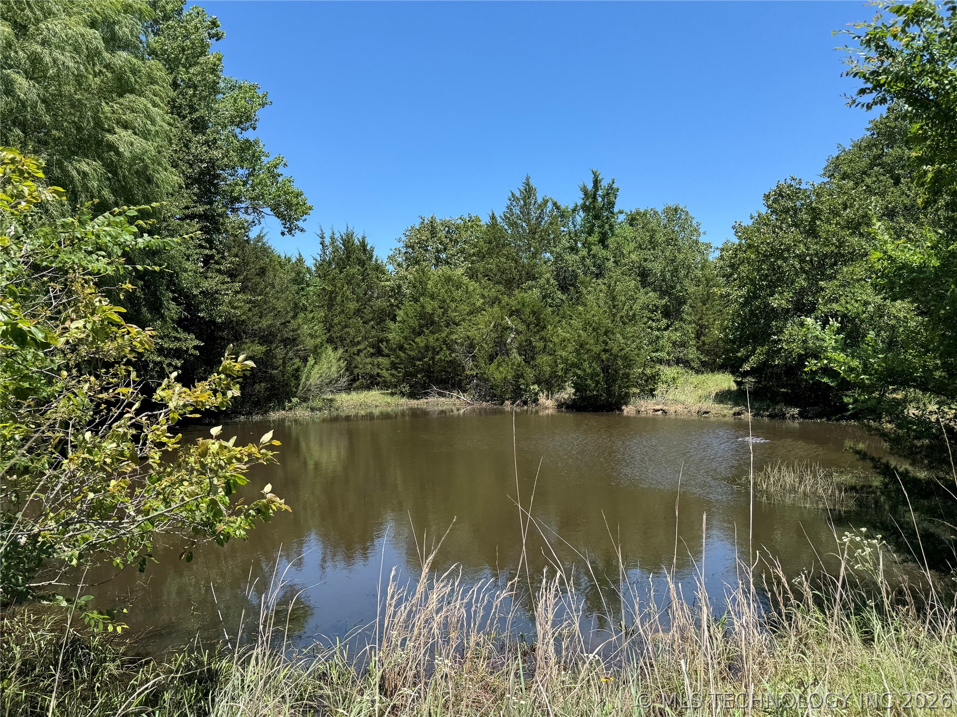 117 Pickens Road Property Photo 25
