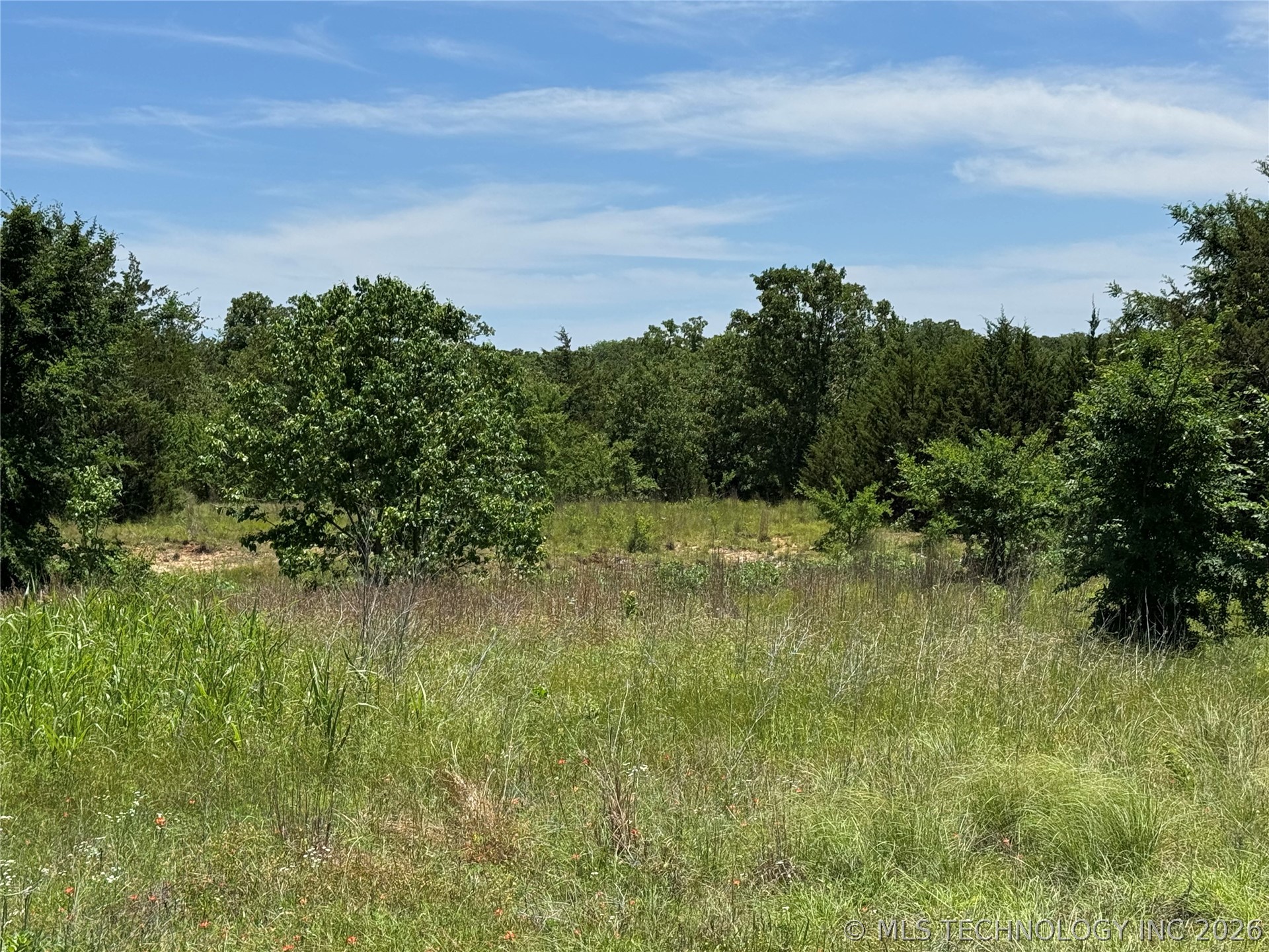 117 Pickens Road Property Photo 30