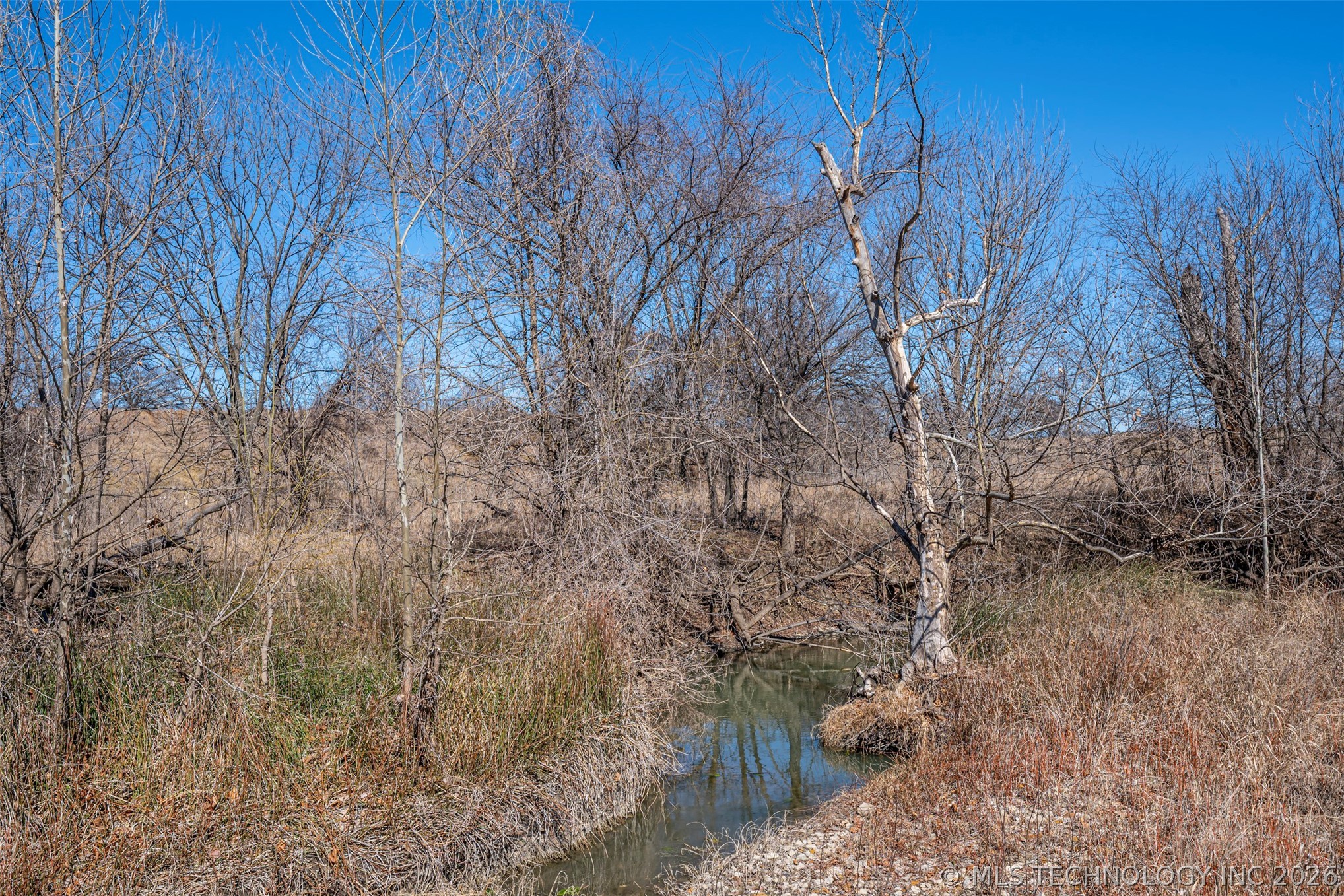 681 House Creek Property Photo 21