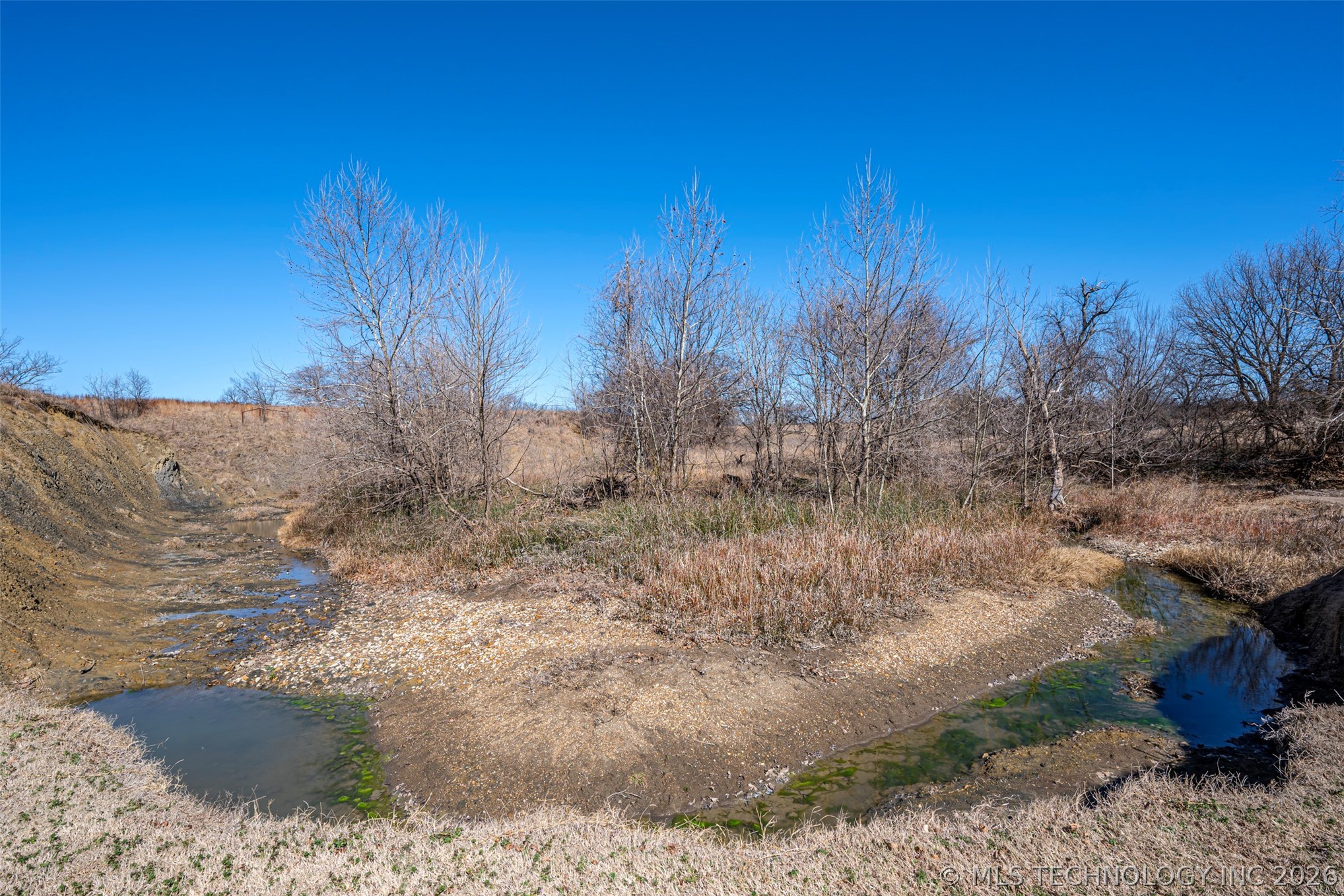 681 House Creek Property Photo 22