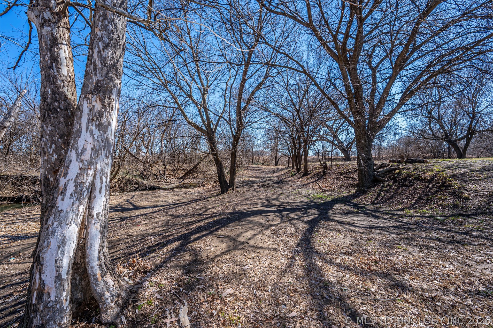 681 House Creek Property Photo 23