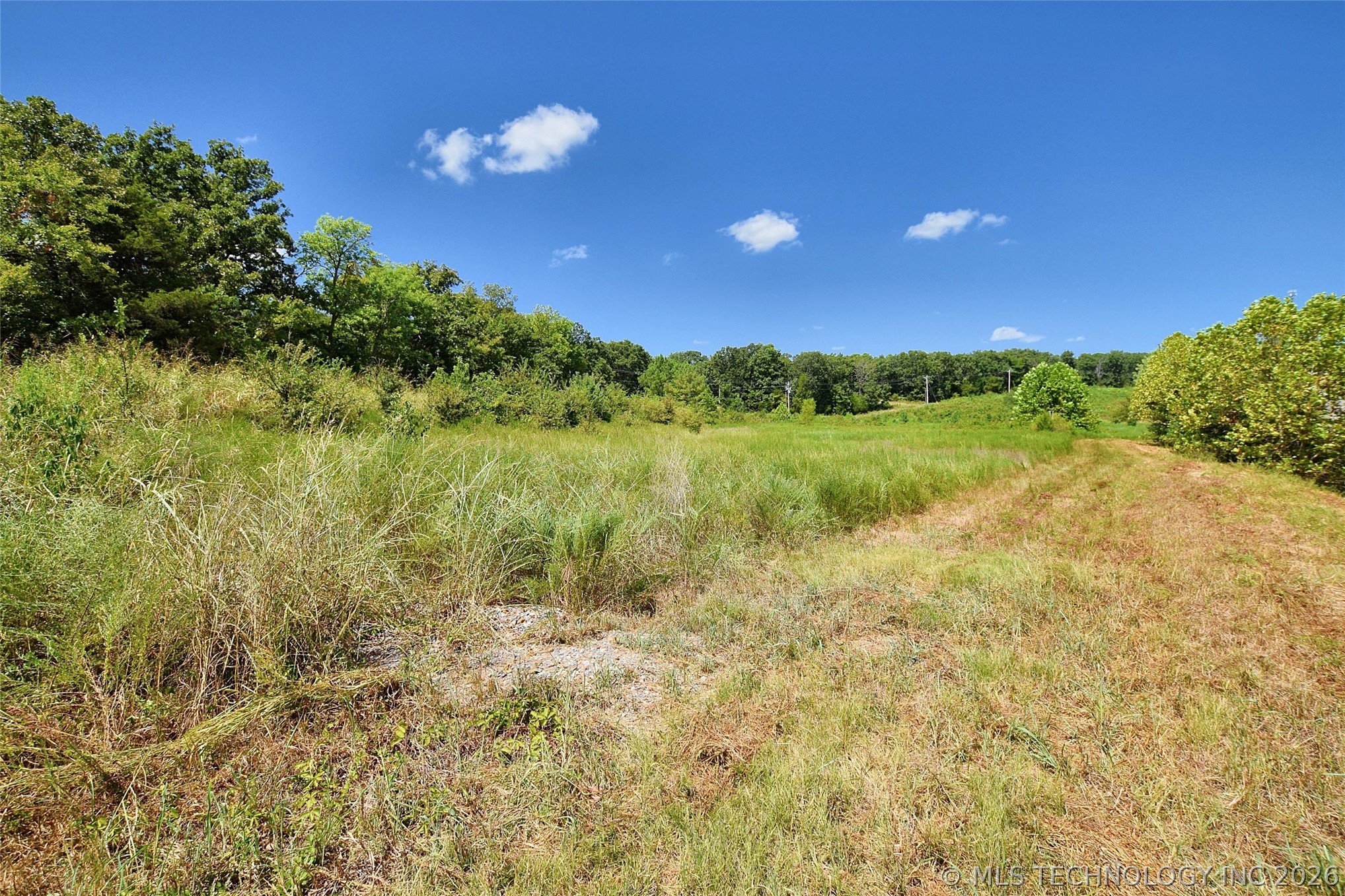 Hwy 82 Property Photo 5