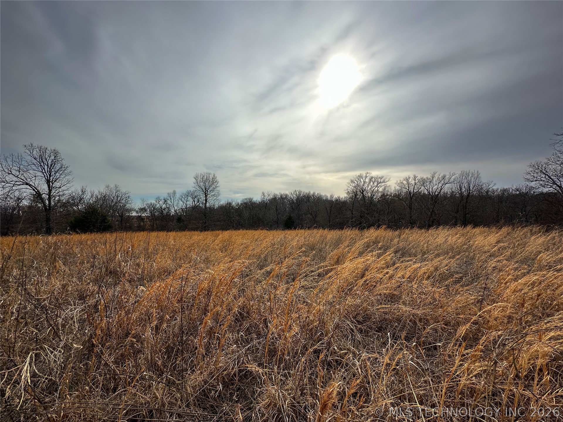 14356 S Hwy 82 Property Photo 50
