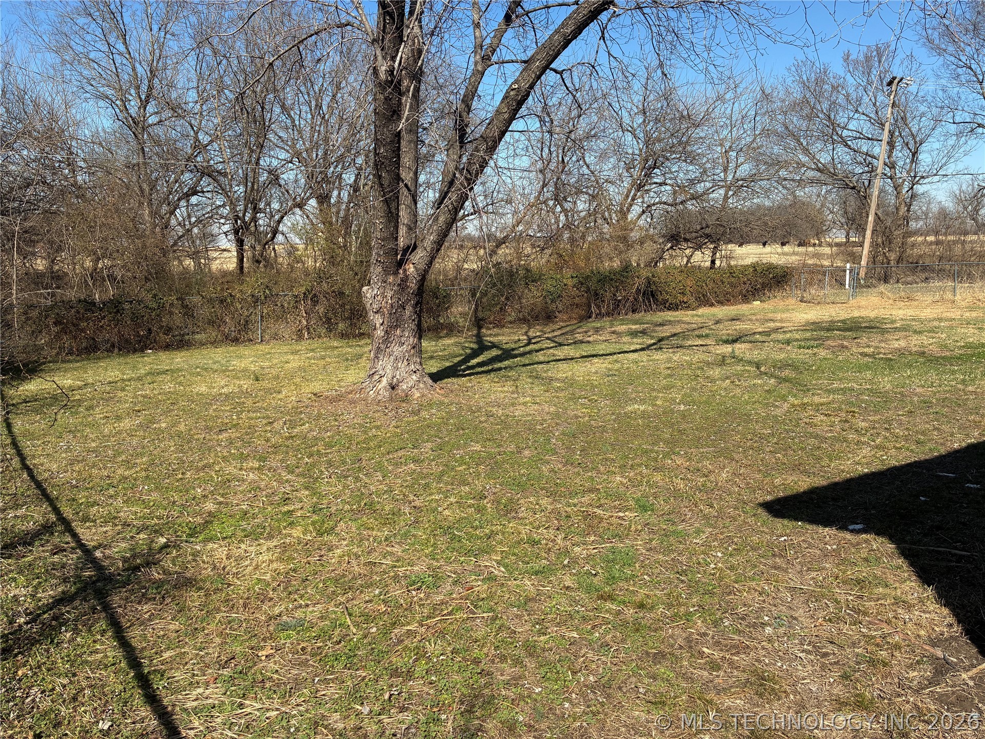 519 Park Street Property Photo 29