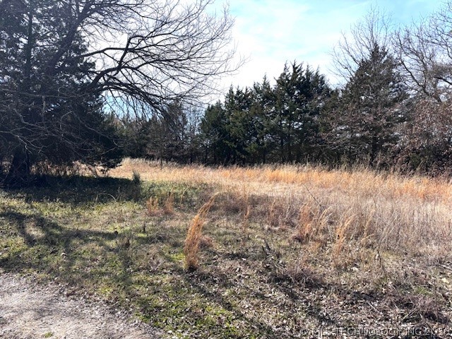 7172 Reds Road Property Photo 29