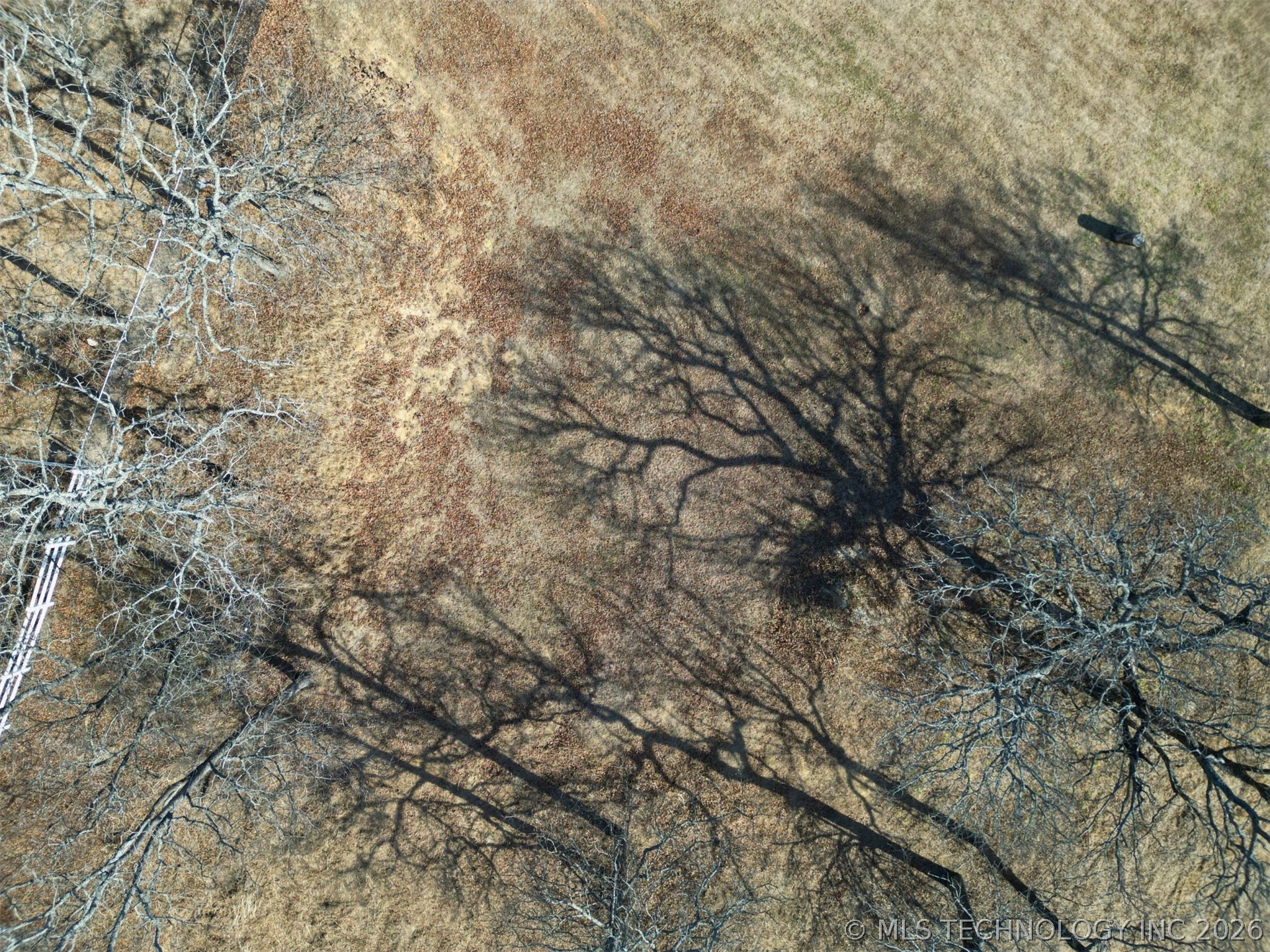 County Road 1541 Property Photo 8