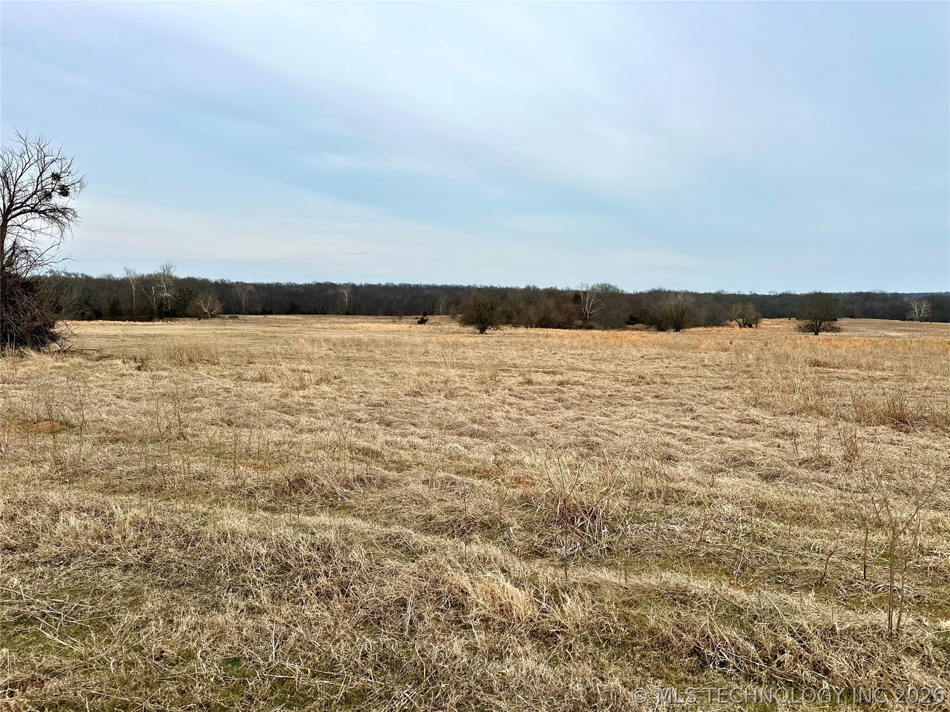 38356 County Road 1745 Property Photo 54
