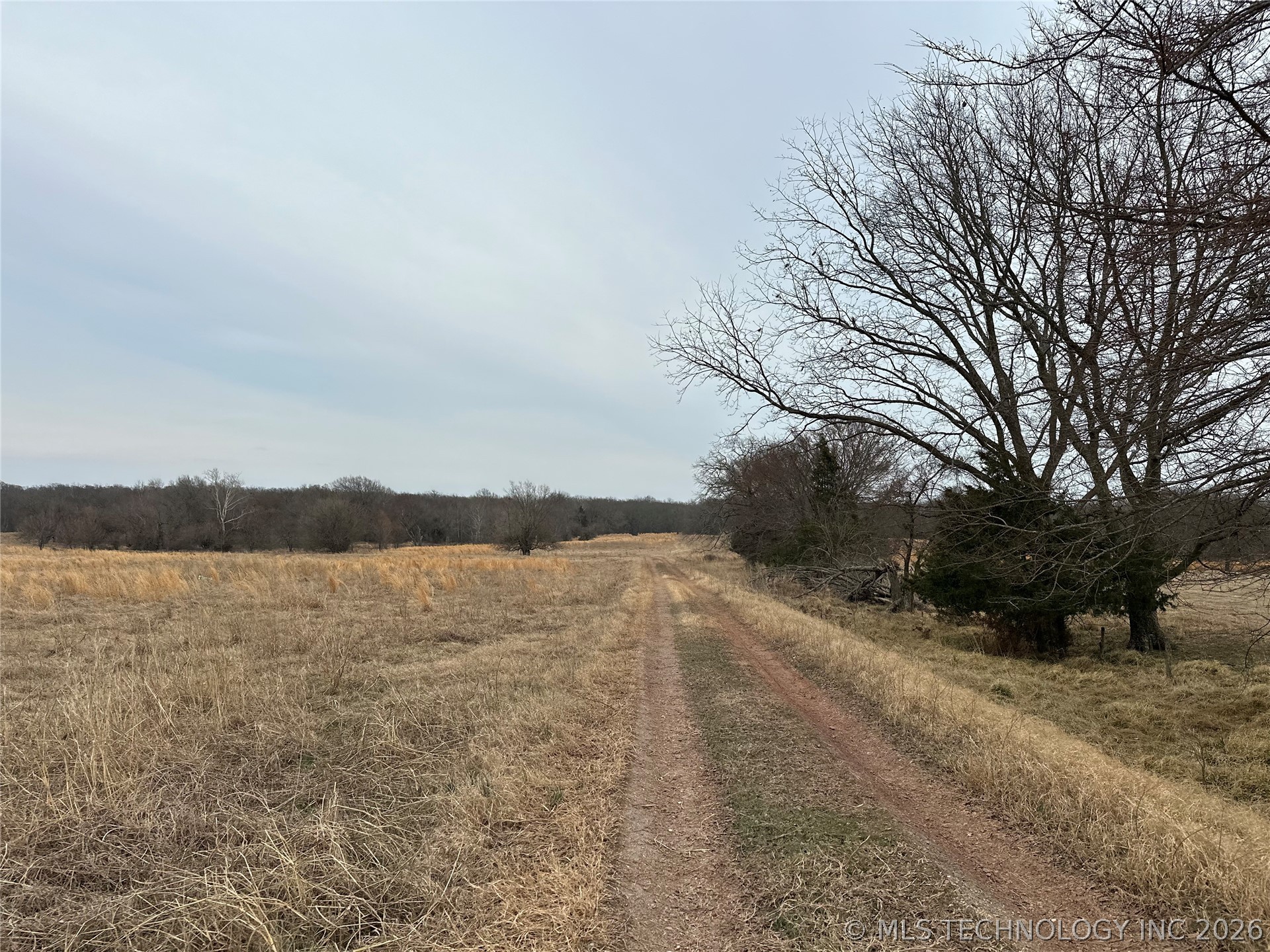 38356 County Road 1745 Property Photo 55