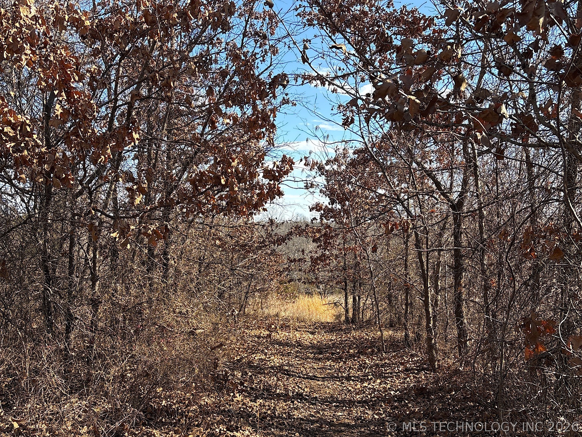 2323 N Oak Grove Road Property Photo 77