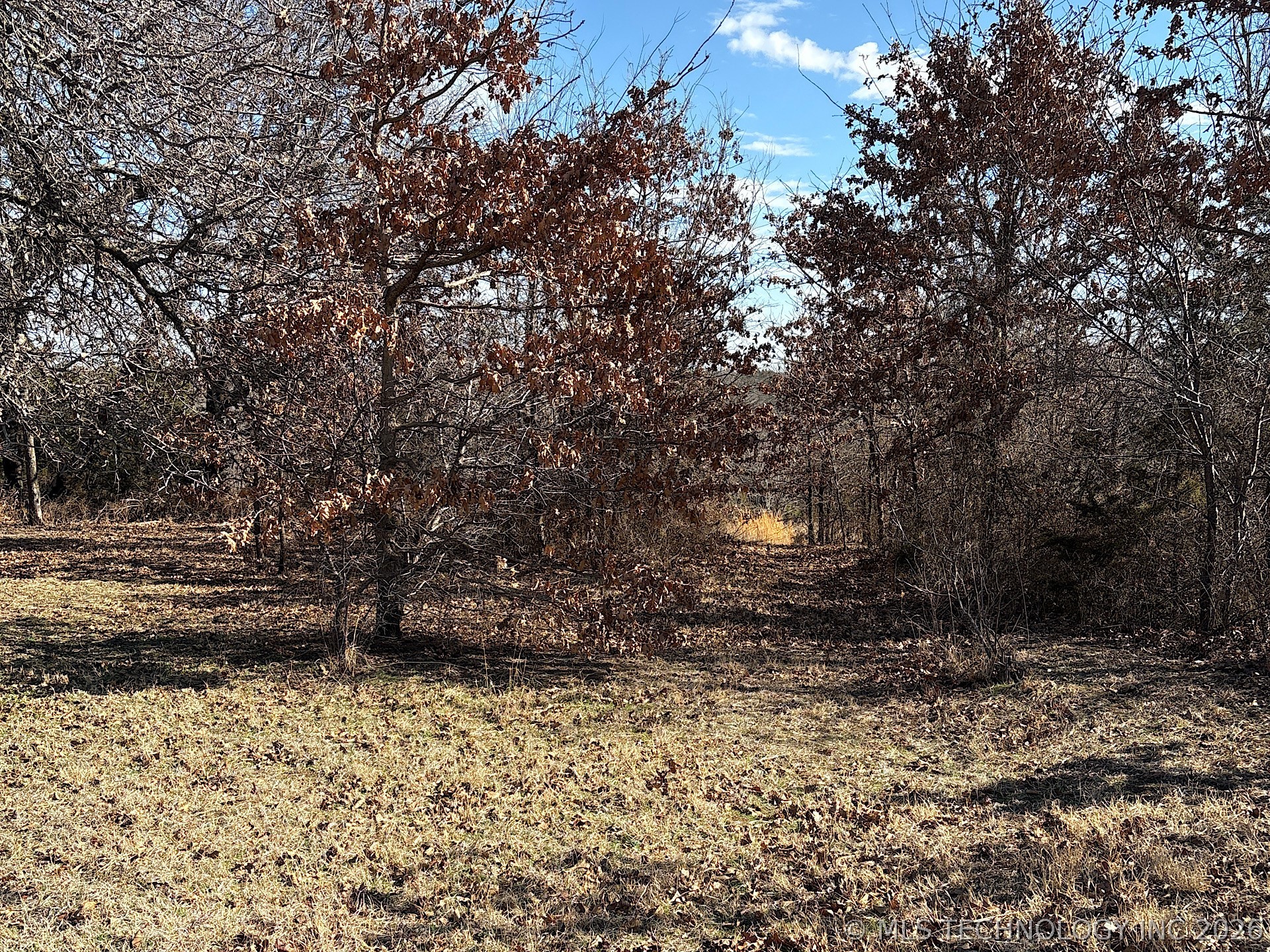 2323 N Oak Grove Road Property Photo 79