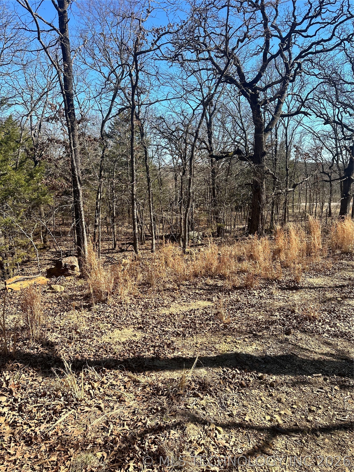 County Road 1560 Property Photo 1