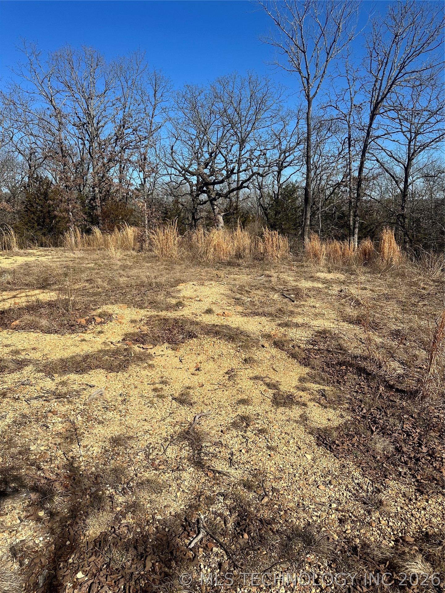 County Road 1560 Property Photo 2
