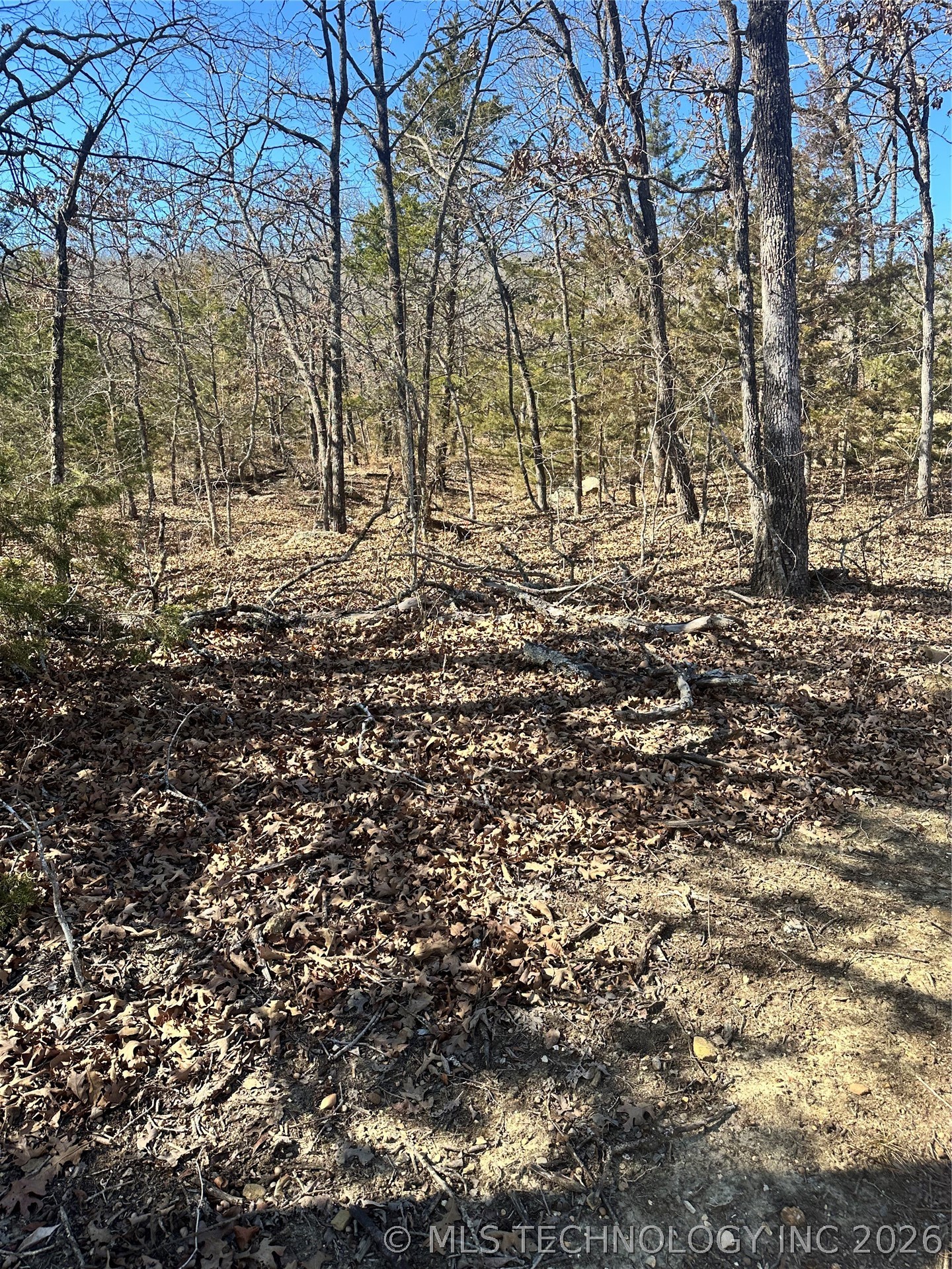 County Road 1560 Property Photo 3