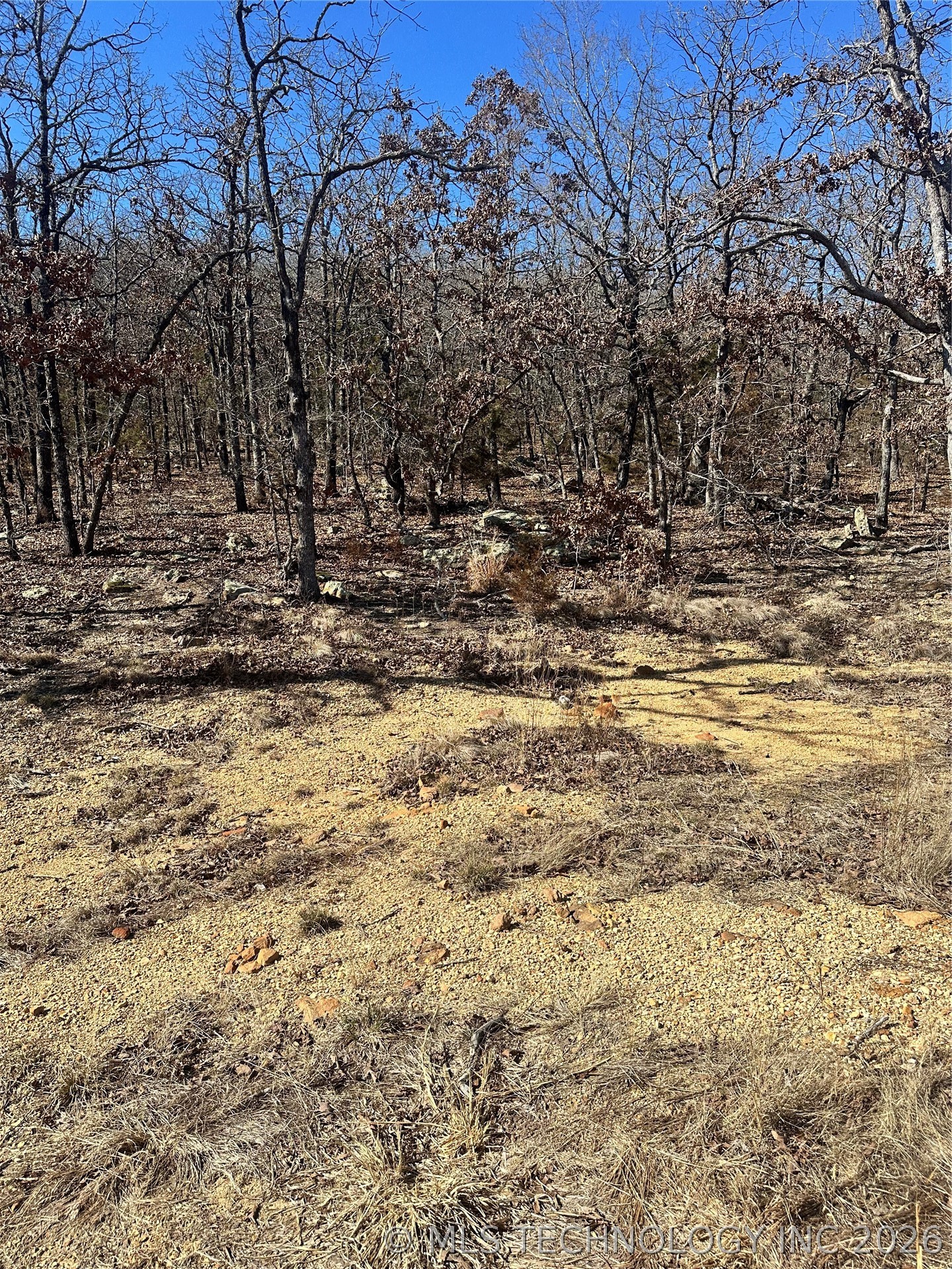 County Road 1560 Property Photo 4