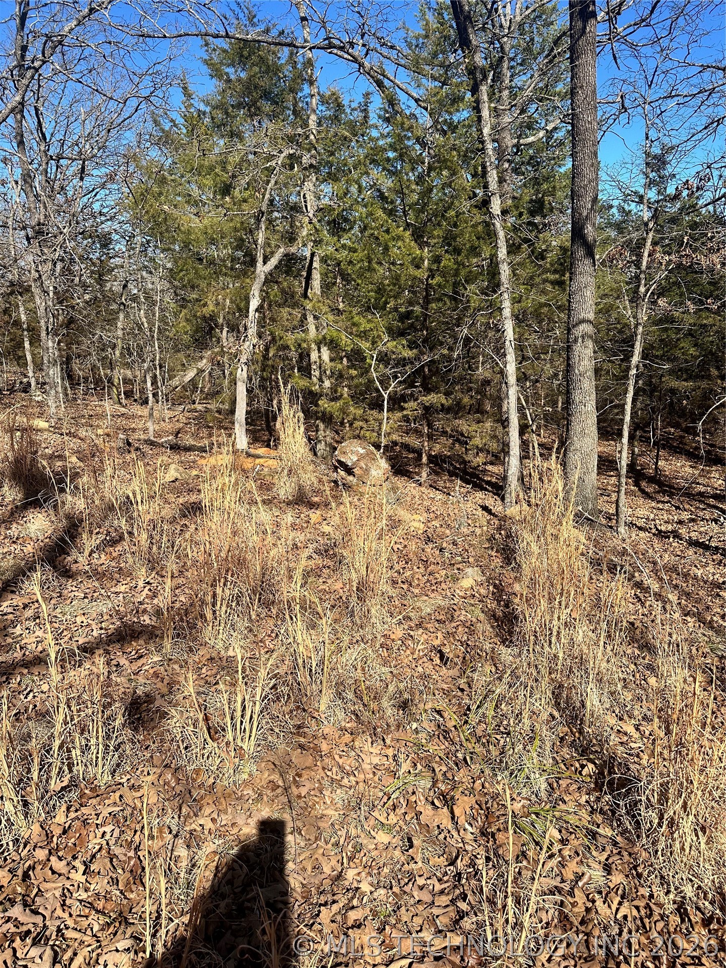County Road 1560 Property Photo 5