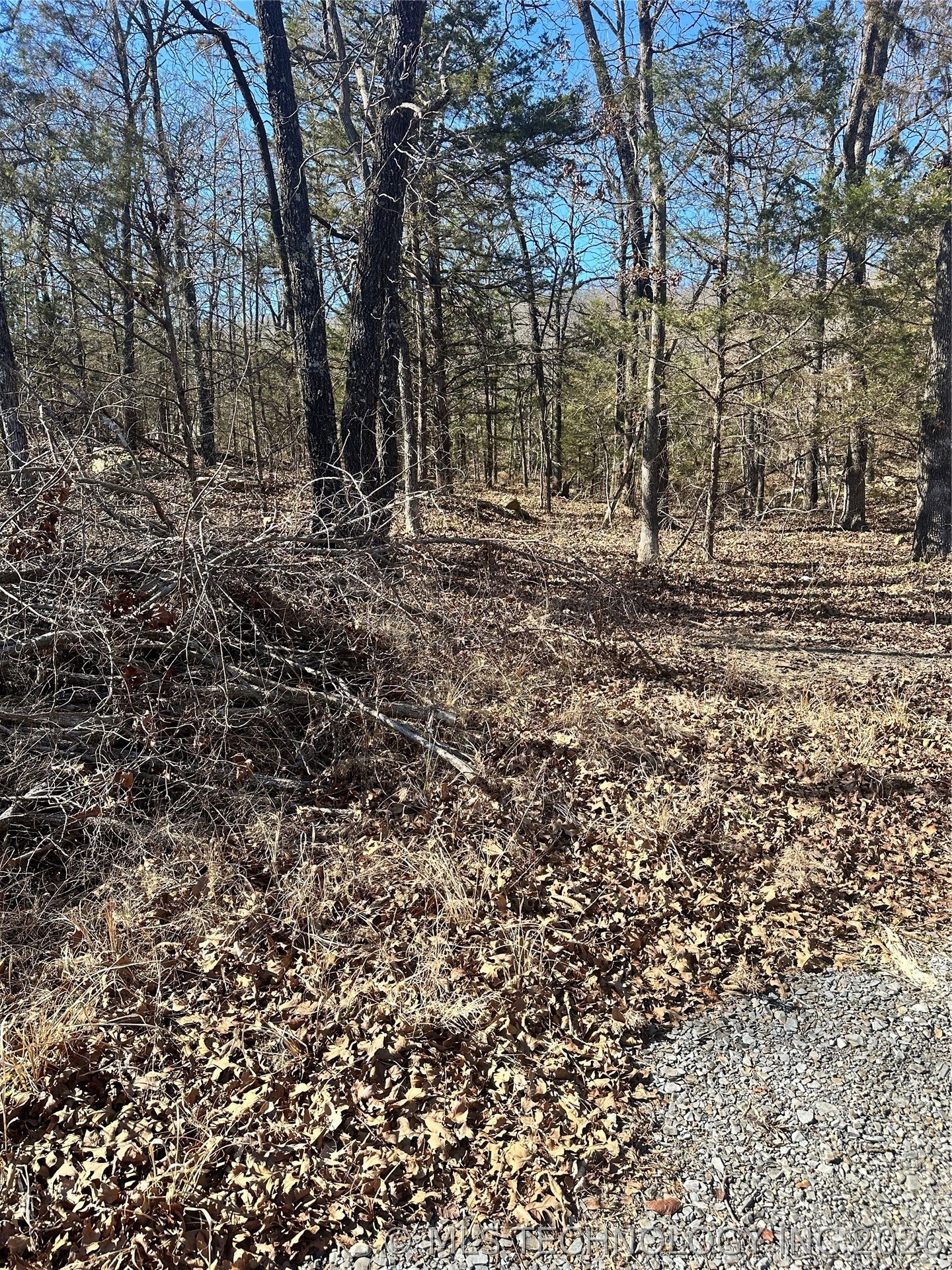County Road 1560 Property Photo 6