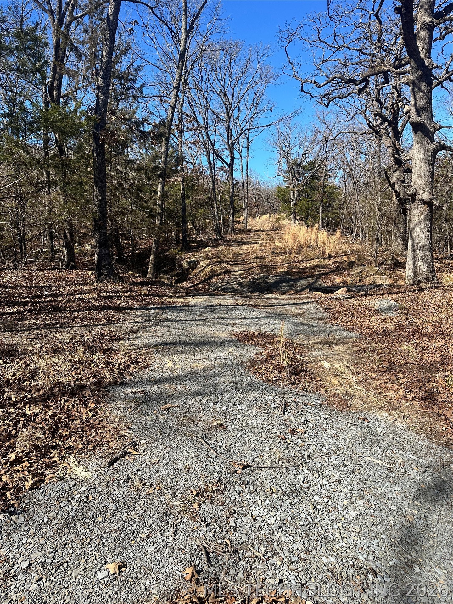 County Road 1560 Property Photo 8