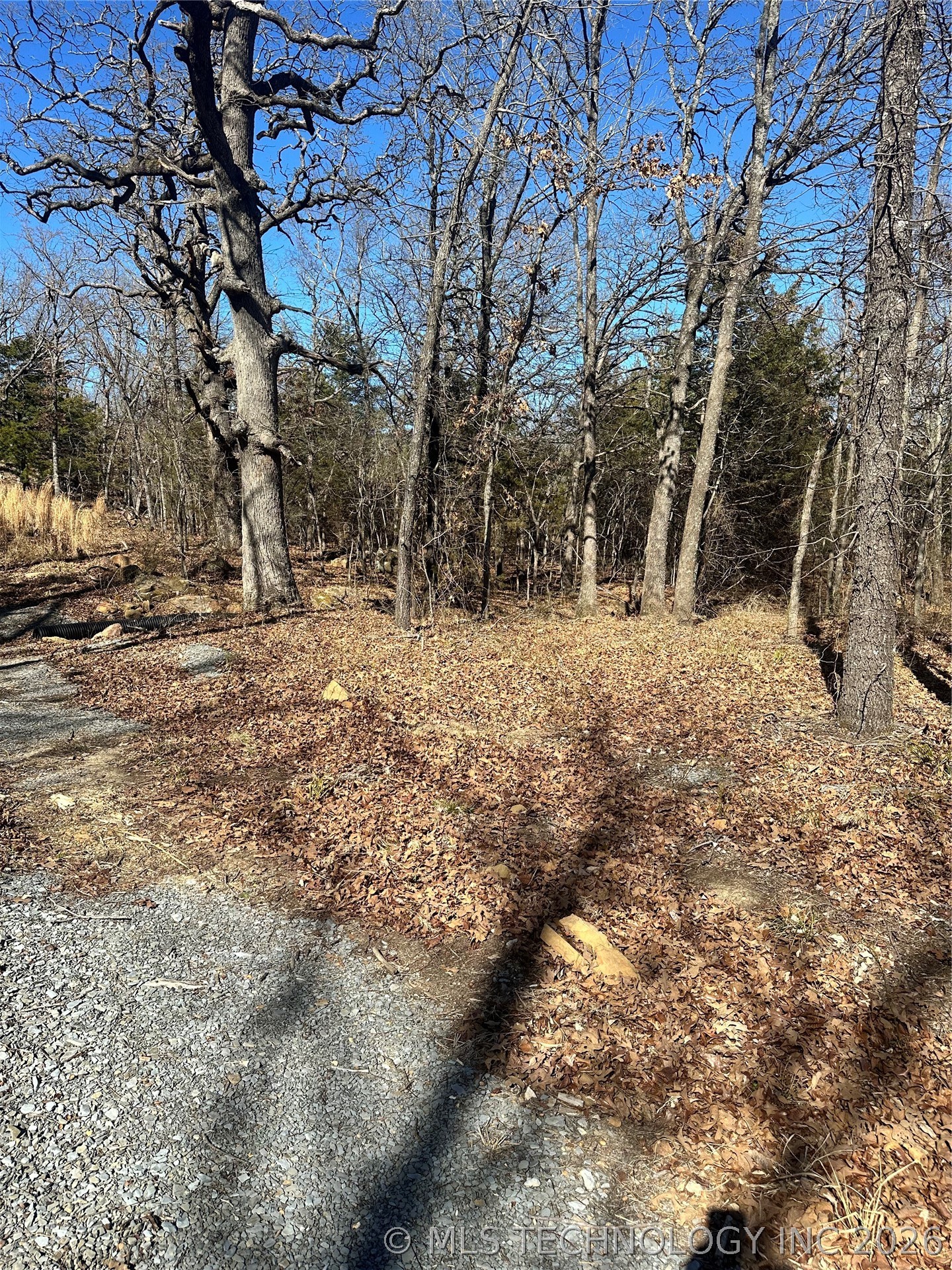 County Road 1560 Property Photo 9