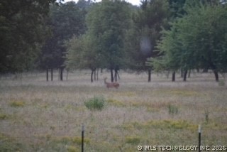 36953 Us Highway 70 Property Photo 49