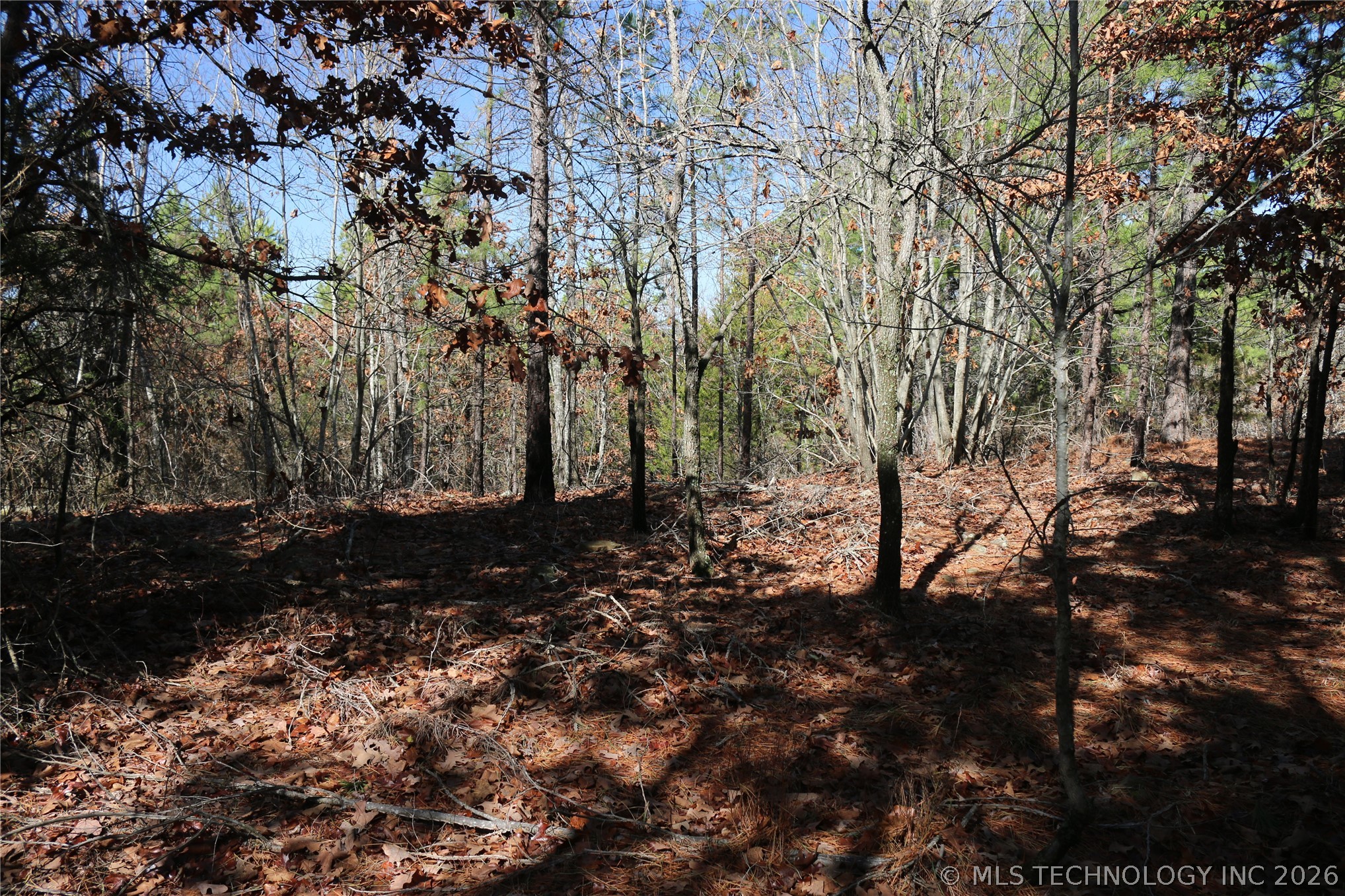 County Road 1342 Property Photo 18