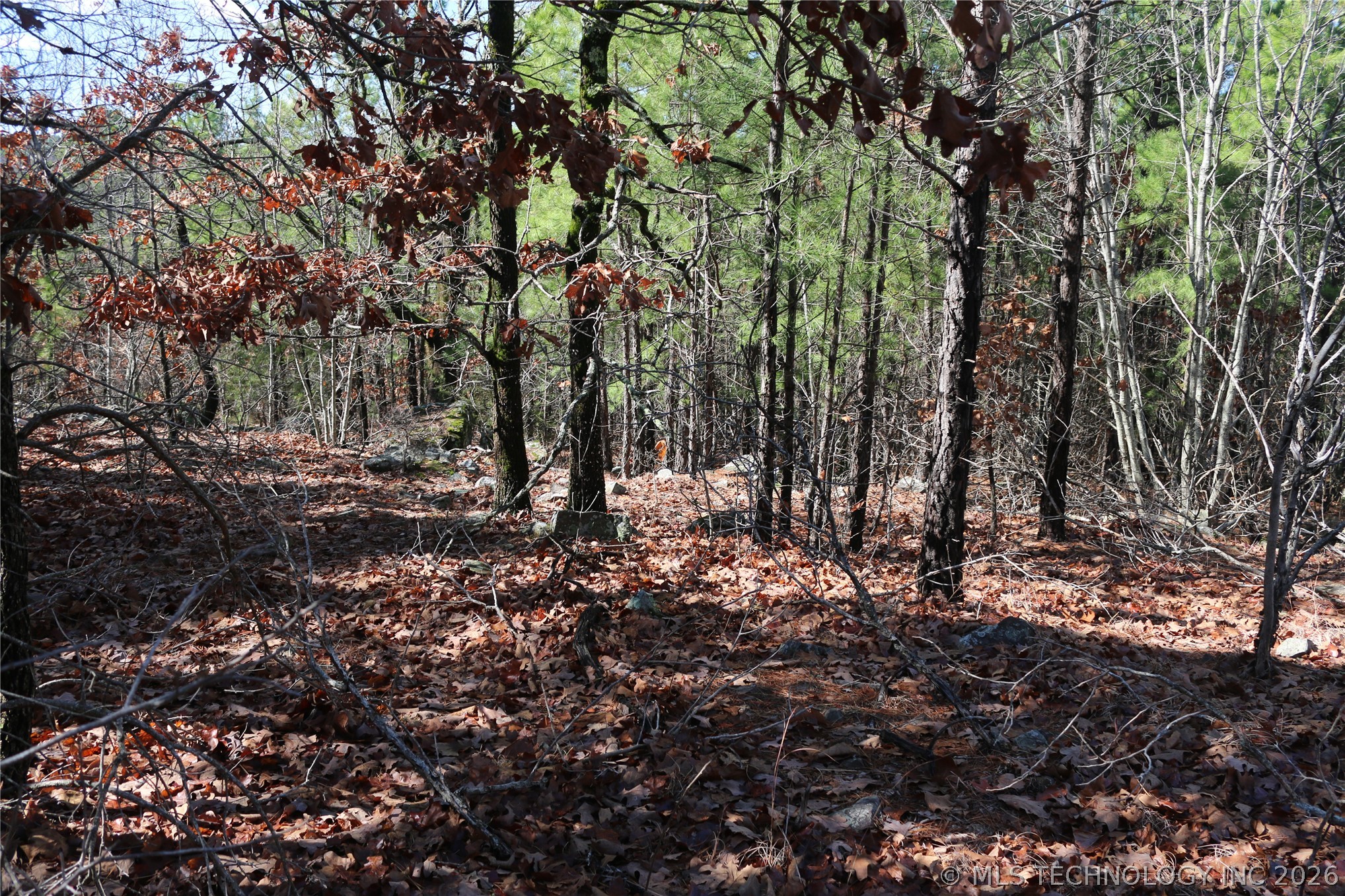 County Road 1342 Property Photo 21