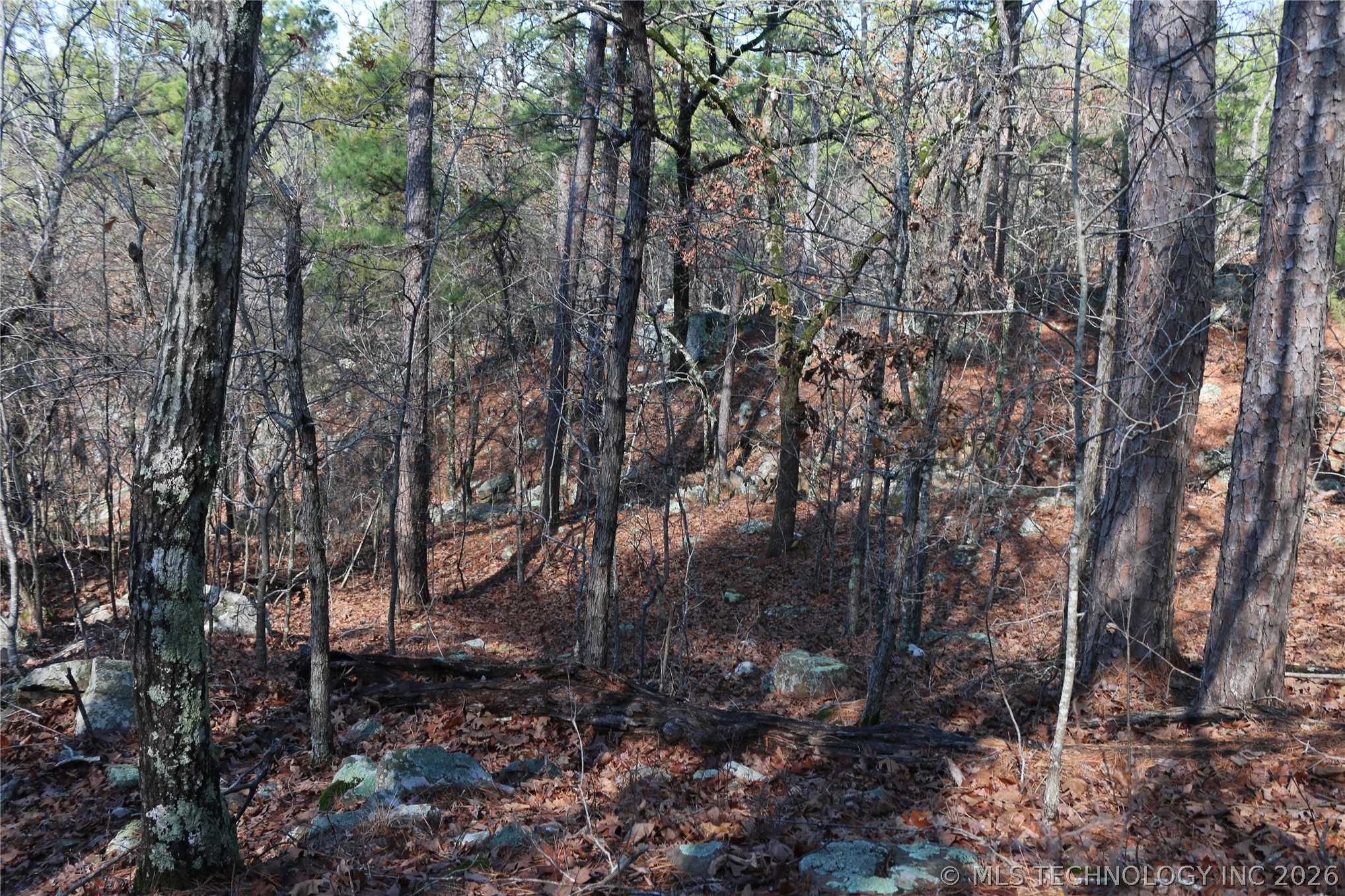 County Road 1342 Property Photo 24