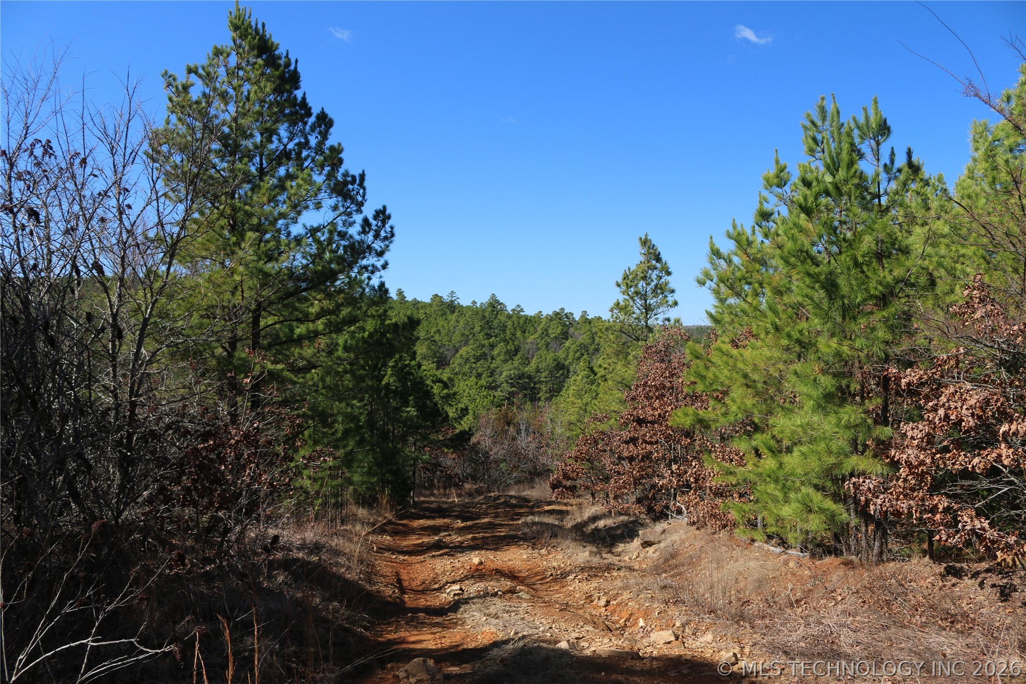 County Road 1342 Property Photo 30