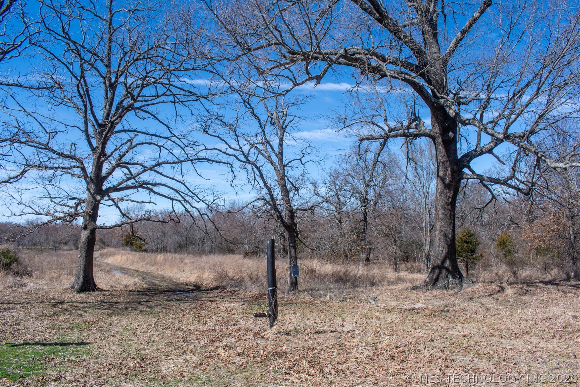 10174 N Sandridge Property Photo 9