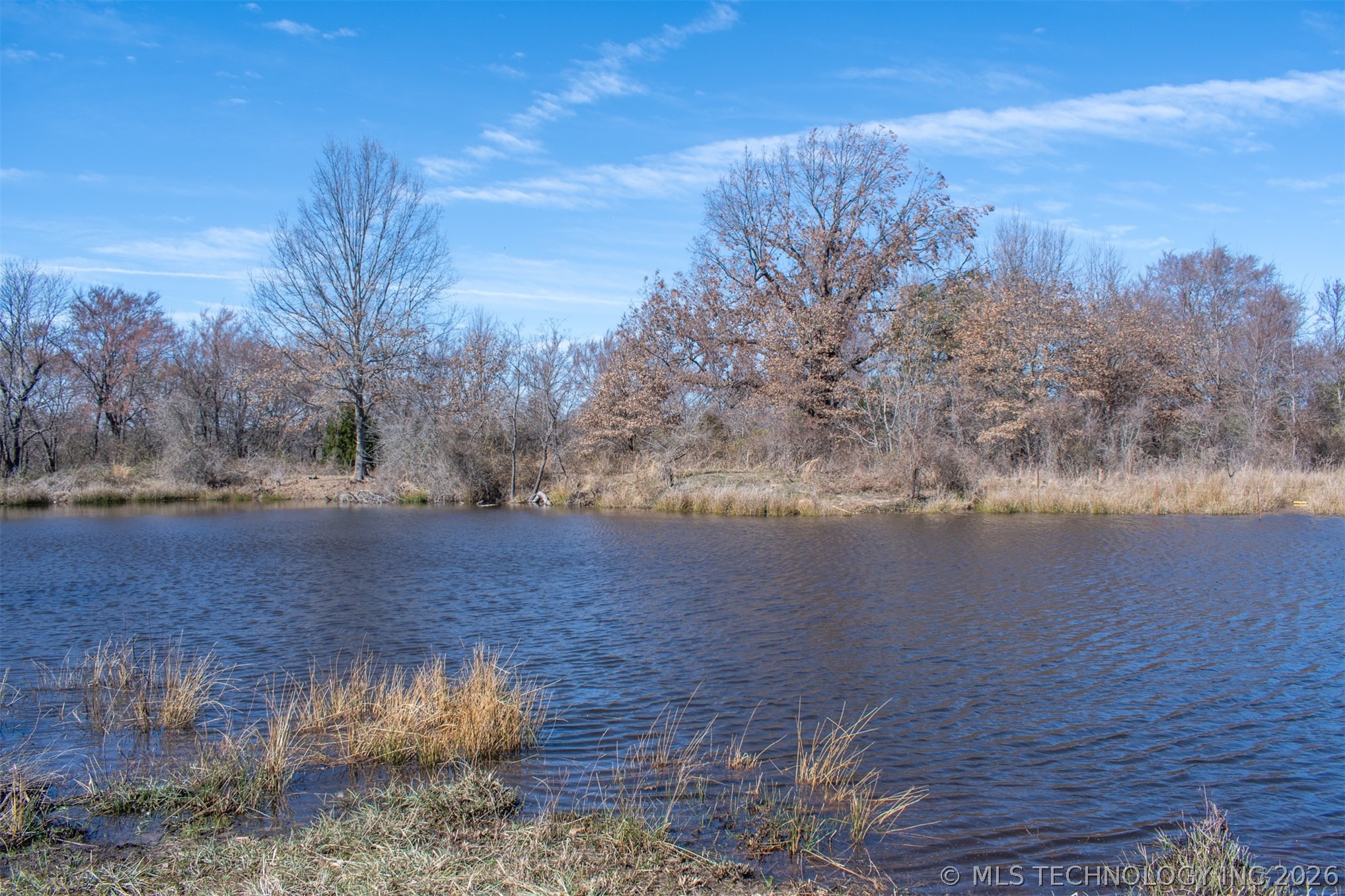 10174 N Sandridge Property Photo 10