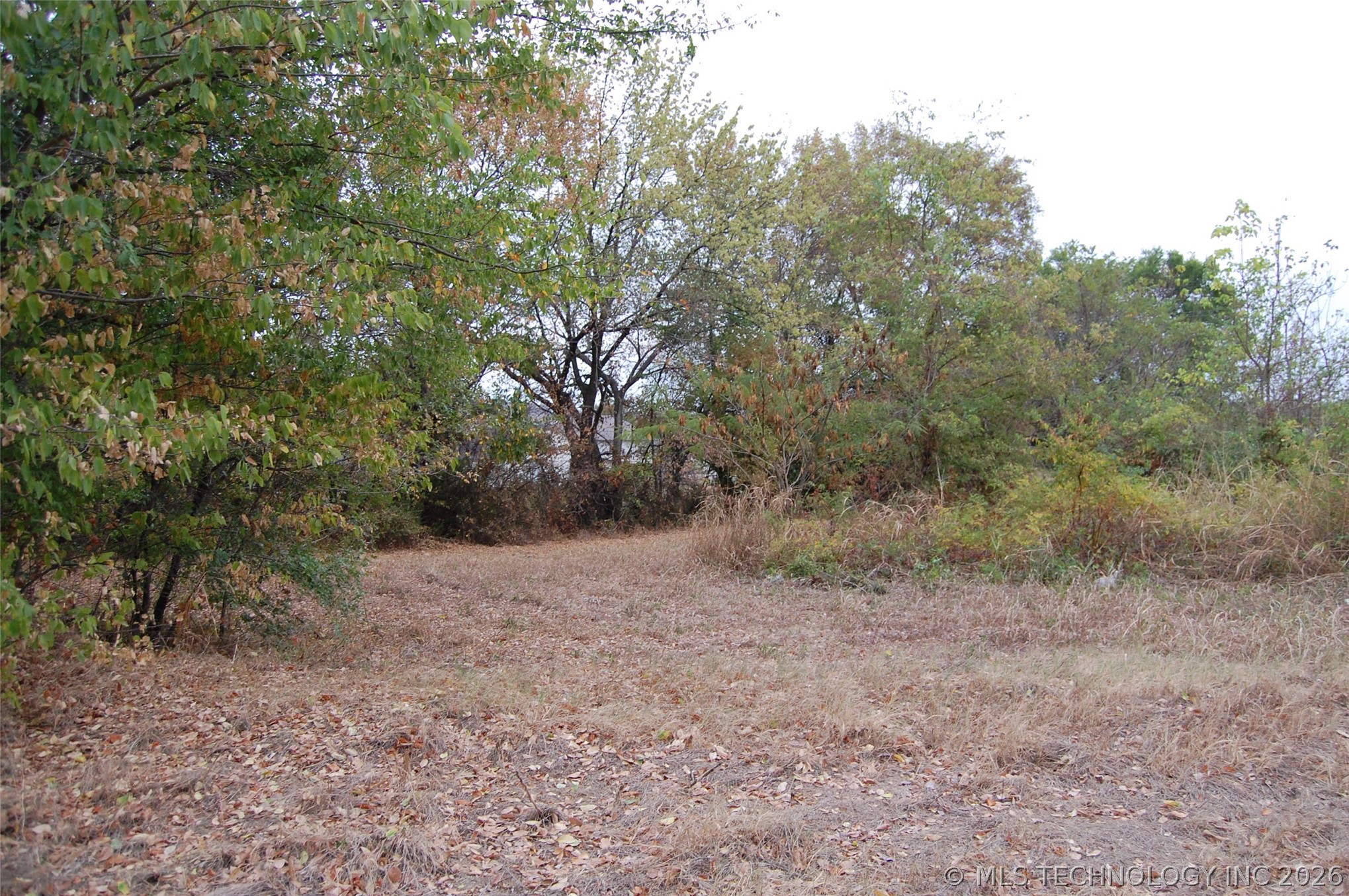 214 N B. Street Property Photo 3