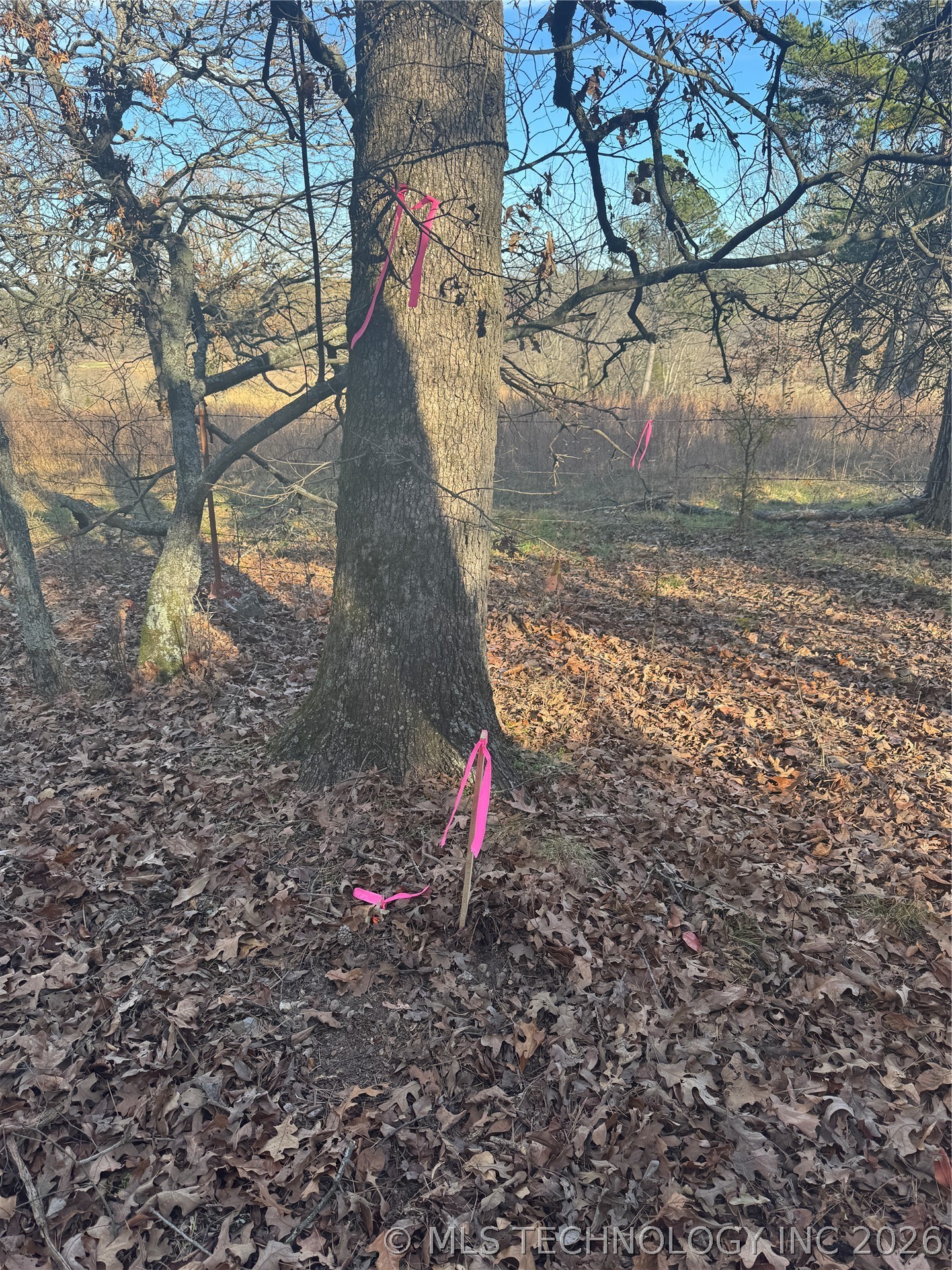 473936 E 790 Road Property Photo 14