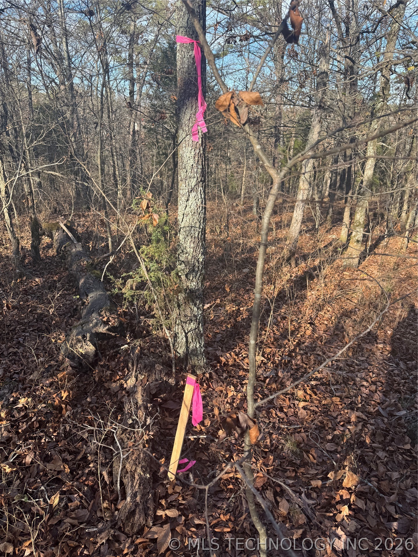 473936 E 790 Road Property Photo 15