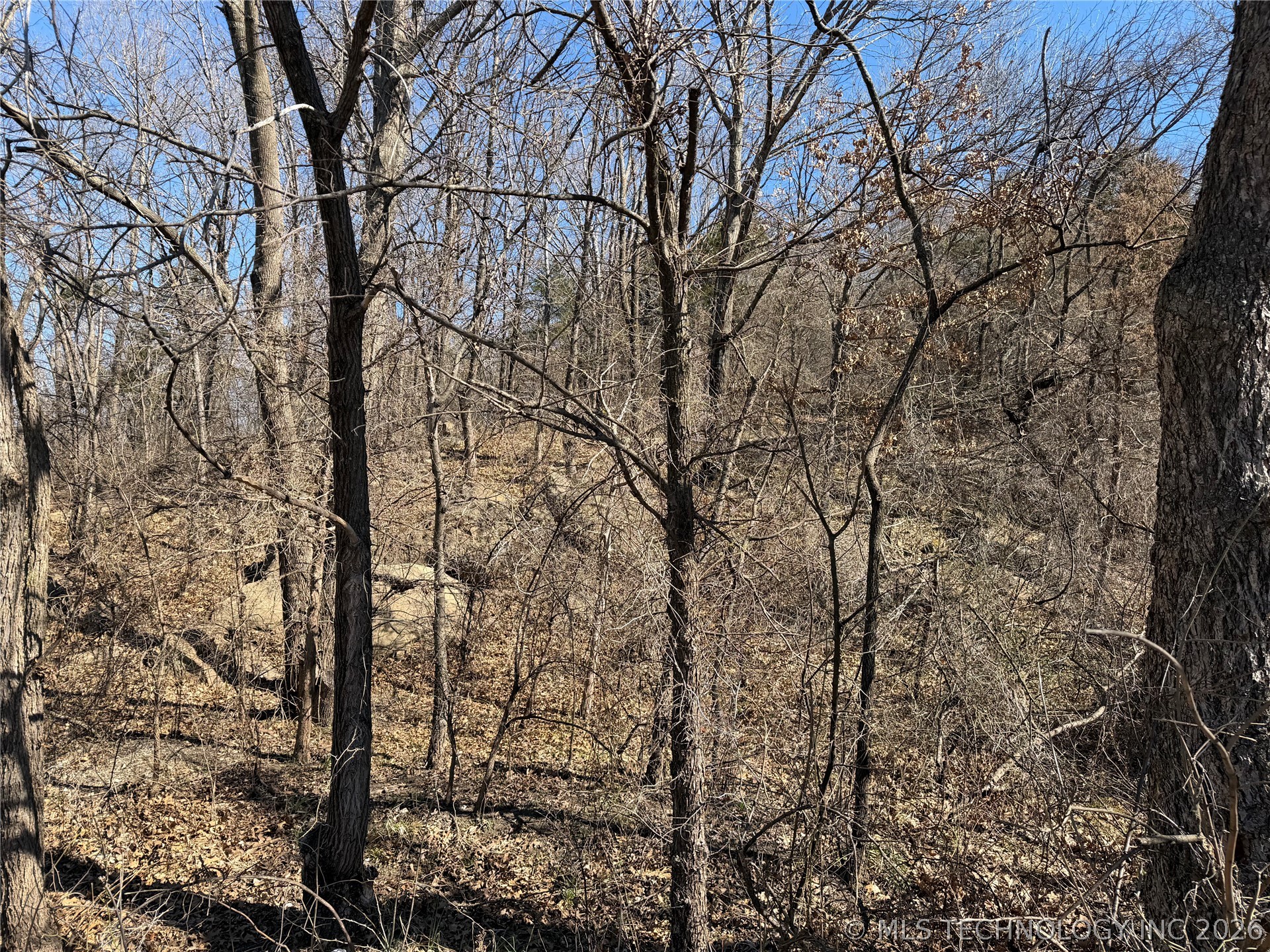 Martin Luther King Avenue Property Photo 1
