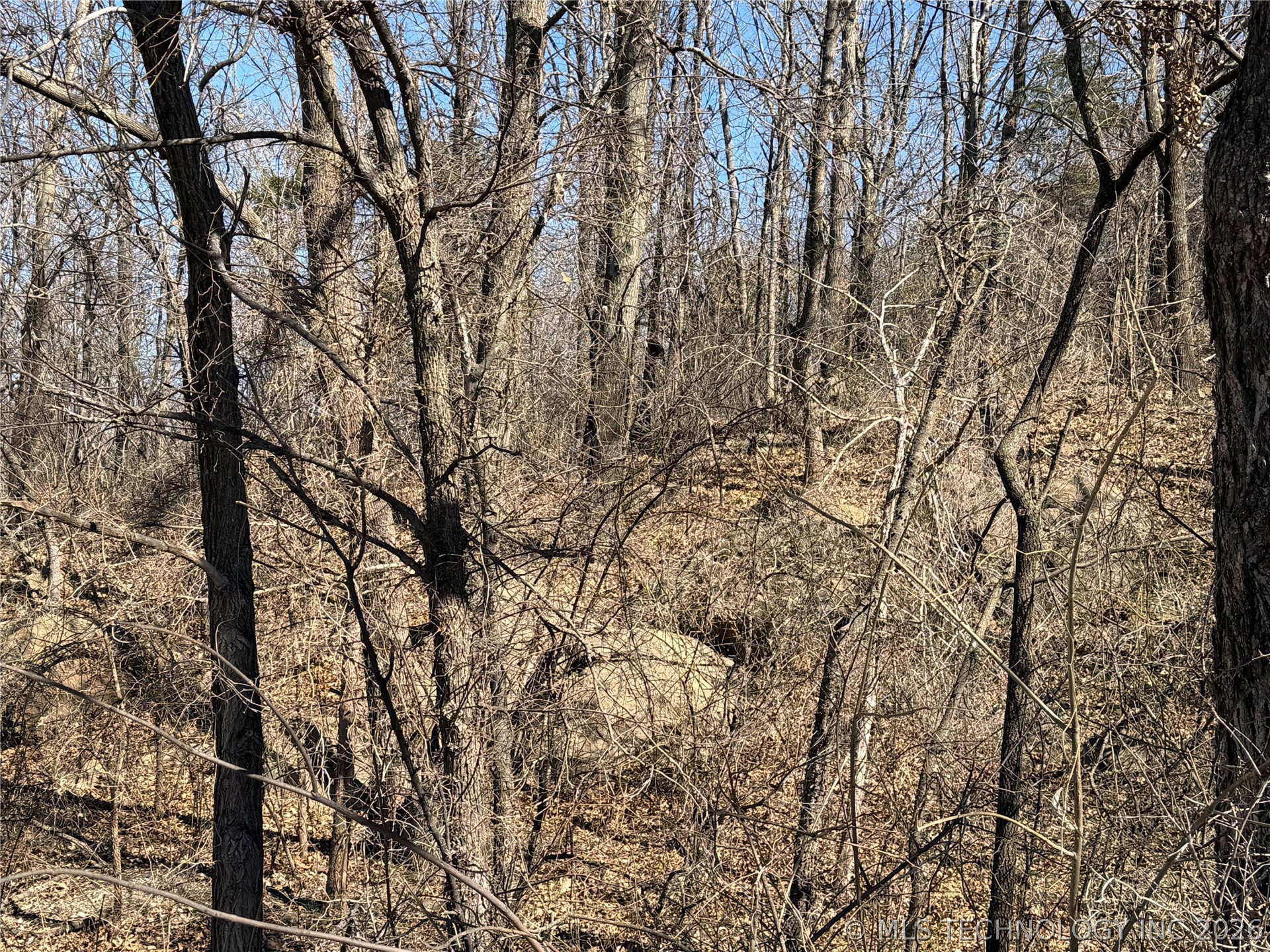 Martin Luther King Avenue Property Photo 3